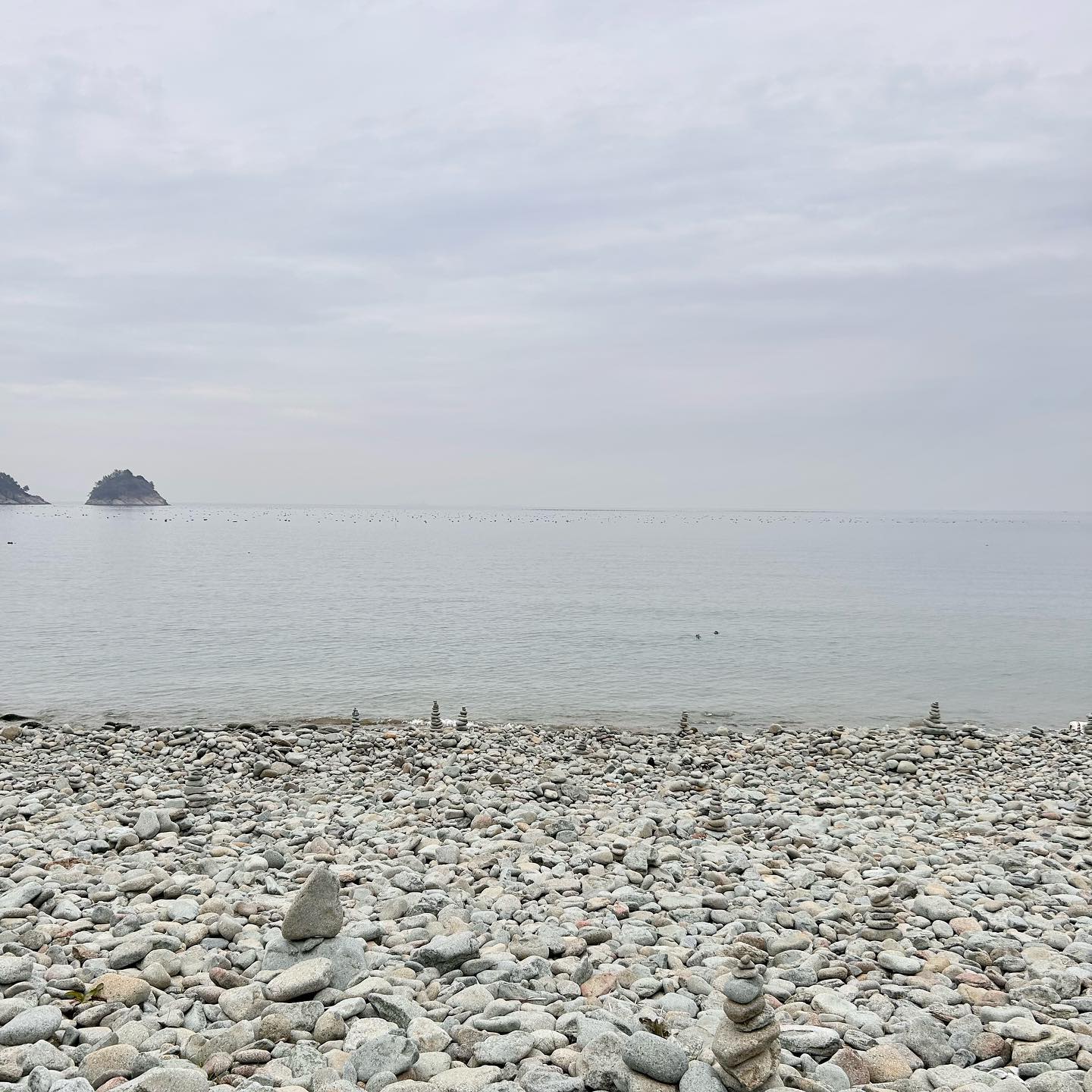 ⠀
여수 무슬목해변, 하멜등대, 오동도🌊
⠀
여수여행 맛보기 느낌?!
여수를 갑작스럽게 짧고 굵게 다녀왔어요~
⠀
여수를 갔는데 바다를 못 보고오는 건 아니기에
뷰좋은 곳 찾다가 방문한 무슬목해변!
모래사장이 아닌 몽돌이 있는 해변이라
돌탑이 많이 쌓여있는데 이색적인 느낌이에요~
⠀
여수하면 빠지지 않는 낭만포차 거리!
그 옆에 위치한 하멜등대에 다녀왔어요~
하늘 위로는 케이블카가 운행되고 있고,
인근에 하멜전시관도 있으니 함께 구경하면 좋아요!
⠀
마지막으로 방문한 오동도에요~!
멀리서 보면 오동잎이 닮았다고 해서 오동도라 하고
유난히 오동나무가 많아서 그렇게 불렸다고 해요
방문했을 때 바람이 너무 많이 불어 제대로 구경 못 했어용
날이 좀 따뜻해지면 다시 도전하는 걸로!!
⠀
🍀 무슬목해변 : 전남 여수시 돌산읍 돌산로 2876
🍀 하멜등대 : 전남 여수시 종화동 458-7
🍀 오동도 : 전남 여수시 수정동 산1-11