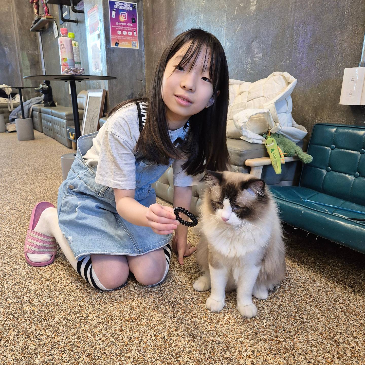 주말에
비영리카페에 또 고양이 보러 다녀왔어요

원래 갈 예정이였는데 ㅎㅎㅎ
세상에나 😲  해시태그 이벤트 당첨😉

고양이가 프린팅된
텀블러랑 에코백이랑 넘 귀여워요😊
심지어 당일에 무료이용이라능~~~

그렇지않아도
텀블러 귀엽다했는데 잇힝^^

하윤이는 오늘부터 바로 
냥이 텀블러로 바꿔서
학교에 가져갔어요 ㅋㅋㅋ

개냥이와
신나게 놀다온 하유니는 행복 😸 

nonprofit_cafe  선물 감사해요💙

#하윤그램 #하유니일상 #비영리카페 
#냥이카페 #개냥이 #한성대입구역카페 
#주말일상 #냥이귀여워
