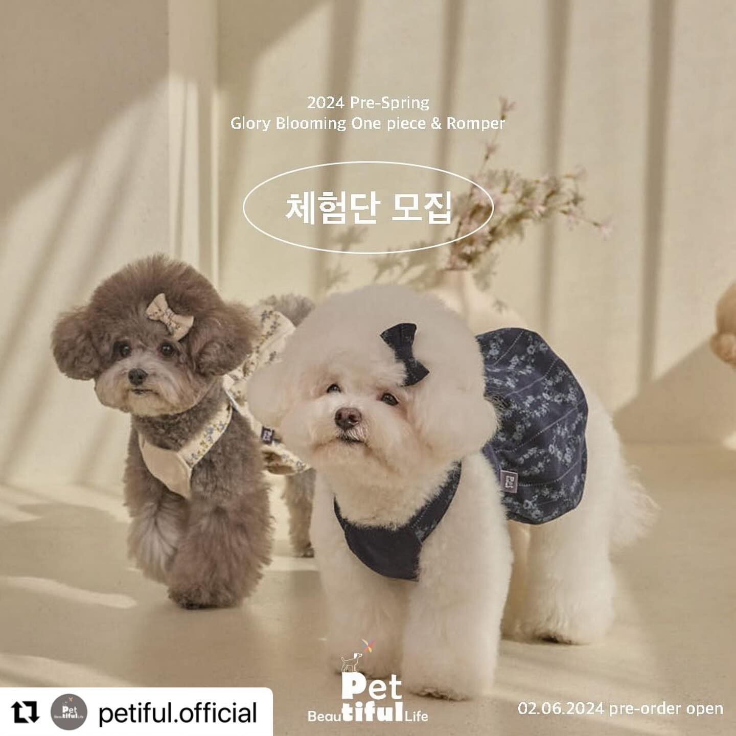 #Repost petiful.official with use.repost
・・・
<체험단 모집> 
케이펫페어에서 오픈되는 페티풀의 새로운 블루밍 원피스 ”글로리원피스“ 의 온라인 프리오더 날짜가 2/6(화)로 확정 되었습니다. 

페티풀 뮤즈 여러분들과 함께 글로리 원피스를 먼저 받아보고, 생생한 후기를 공유해 주실 체험단 여러분을 모집합니다. 
 
🔖 원피스, 롬퍼 두 가지 스타일로 출시
🔖 봉긋봉긋 방실방실 귀엽고 사랑스러운 핏 !
🔖 기존 블루밍 원피스보다 2-3cm 여유핏 업그레이드!
🔖 리본 + 풉백 셋업으로 완벽한 착장 완성!
🔖 스커트, 다리 부분 full banding 마감으로 더욱 귀엽고 편안하게! 
🔖 핀코트 자수 디테일과 페티풀 로고자수의 고급스러움! 
🔖 끈길이 조절 후 매듭 마무리로 포인트! 
🔖 지금 부터 초봄, 가을까지 꺼내 입을 수 있는 활용도!

페티풀의 야심작, 글로리 블루밍 원피스를 꼭 체험해 보세요. 

<참여방법> 
1. 본 게시물을 캡쳐 후 본인의 피드에 게시해 주세요. 
2. petiful.official 태그 및 #페티풀#블루밍원피스 태그 
3. 페티풀 계정 팔로우 후 ”좋아요“ + ”참여완료“  댓글만 올리면 끝! 

* 이벤트 기간: 01/31(수) - 02/05(월) 
* 당첨자 발표: 02/06(화) 
* 총 6명 추첨 (롬퍼 3명 원피스 3명)

Notice!
- 이벤트 계정 및 비공개 계정, 유령 친구소환 등은 당첨에서 제외됩니다. 
- 이벤트 참여 후 팔로우 취소는  당첨에서 제외 추후 이벤트 참여가 제한 됩니다.