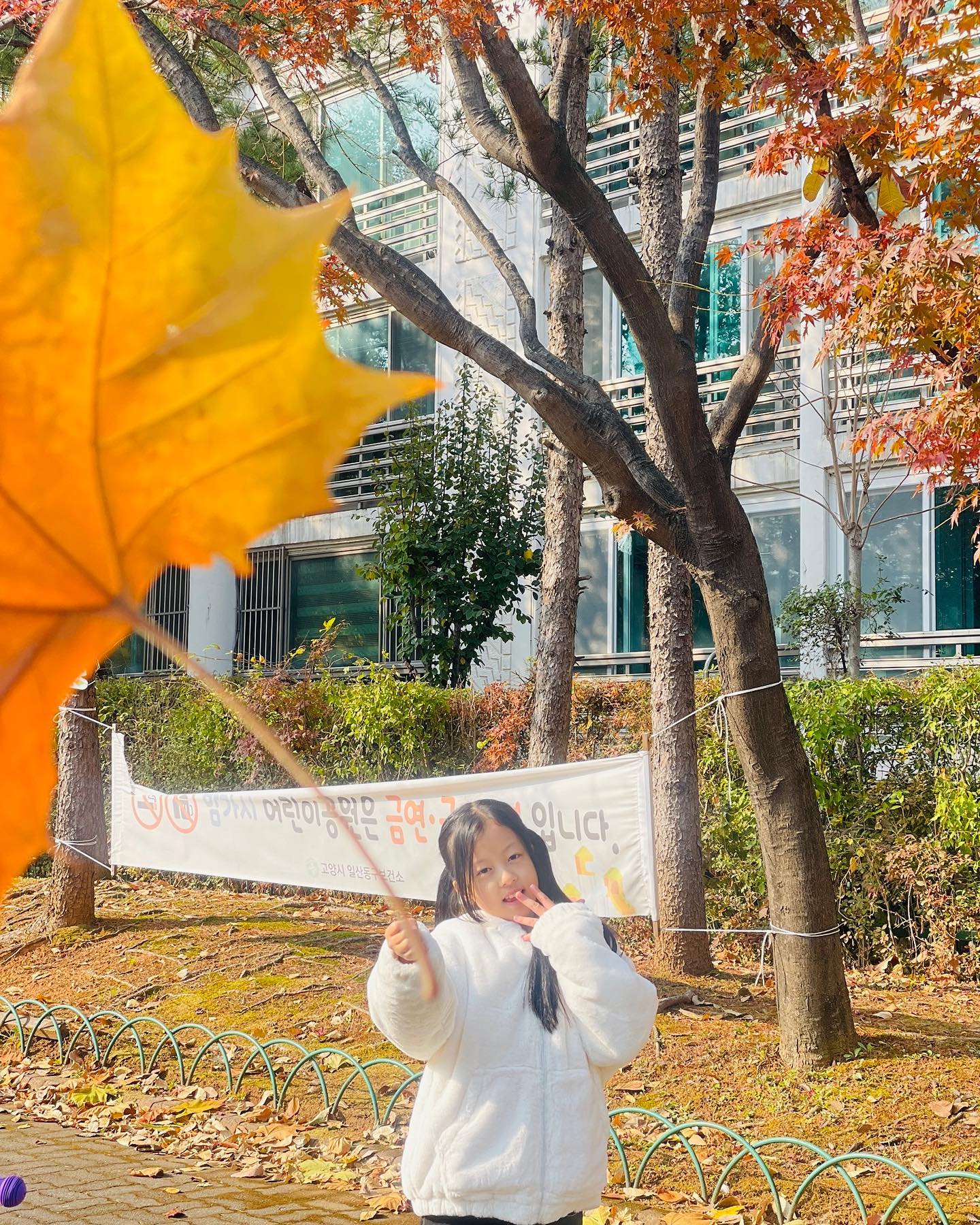 오늘 날씨가 왜 이렇게 좋지? 따뜻해~~~^^
날씨 좋고 기분도 좋고 우리 소품샵 구경하러 GoGo
#루팡이네다락방 #러브키치 #소품샵 #주말 #낙엽사진