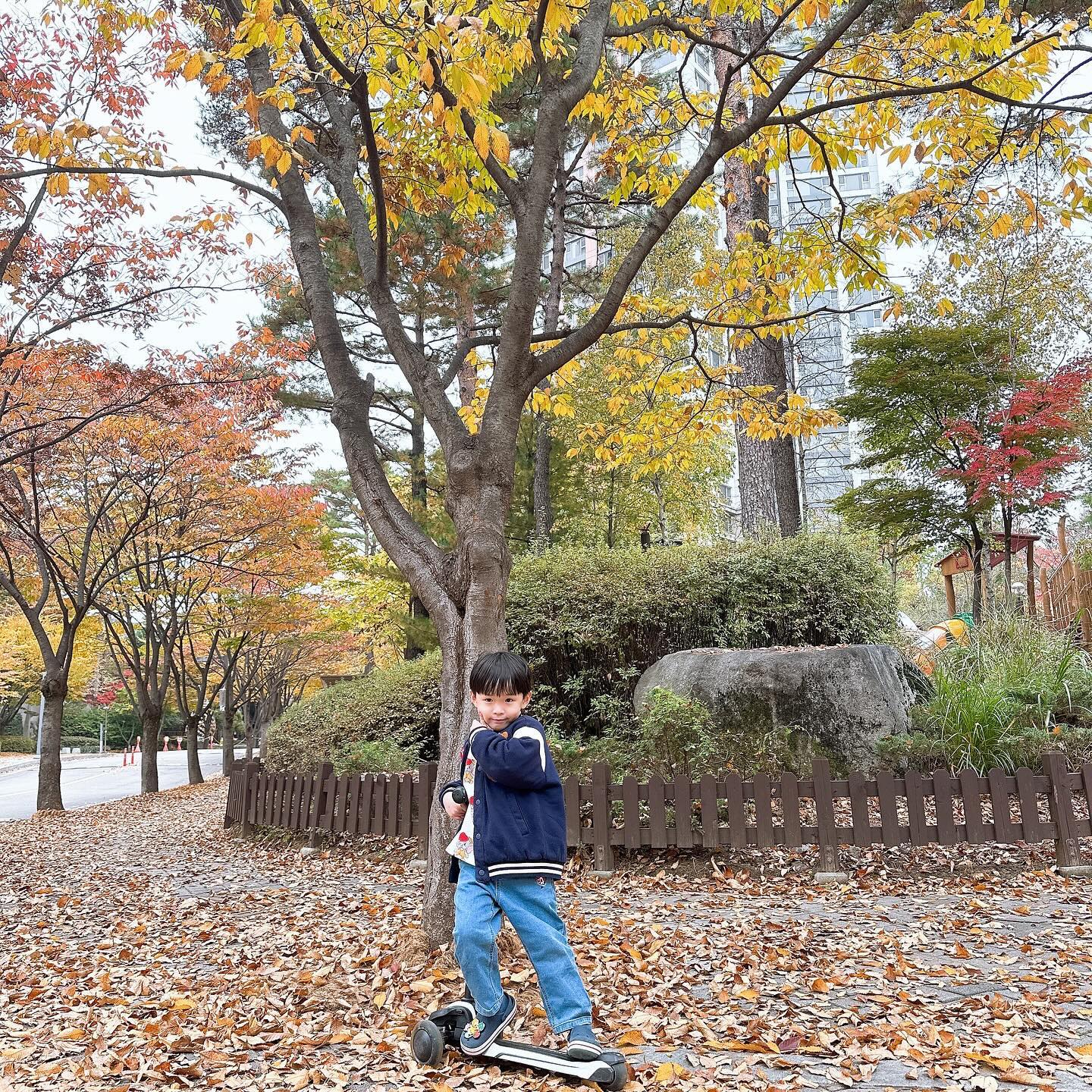 #가을풍경🍂🍁