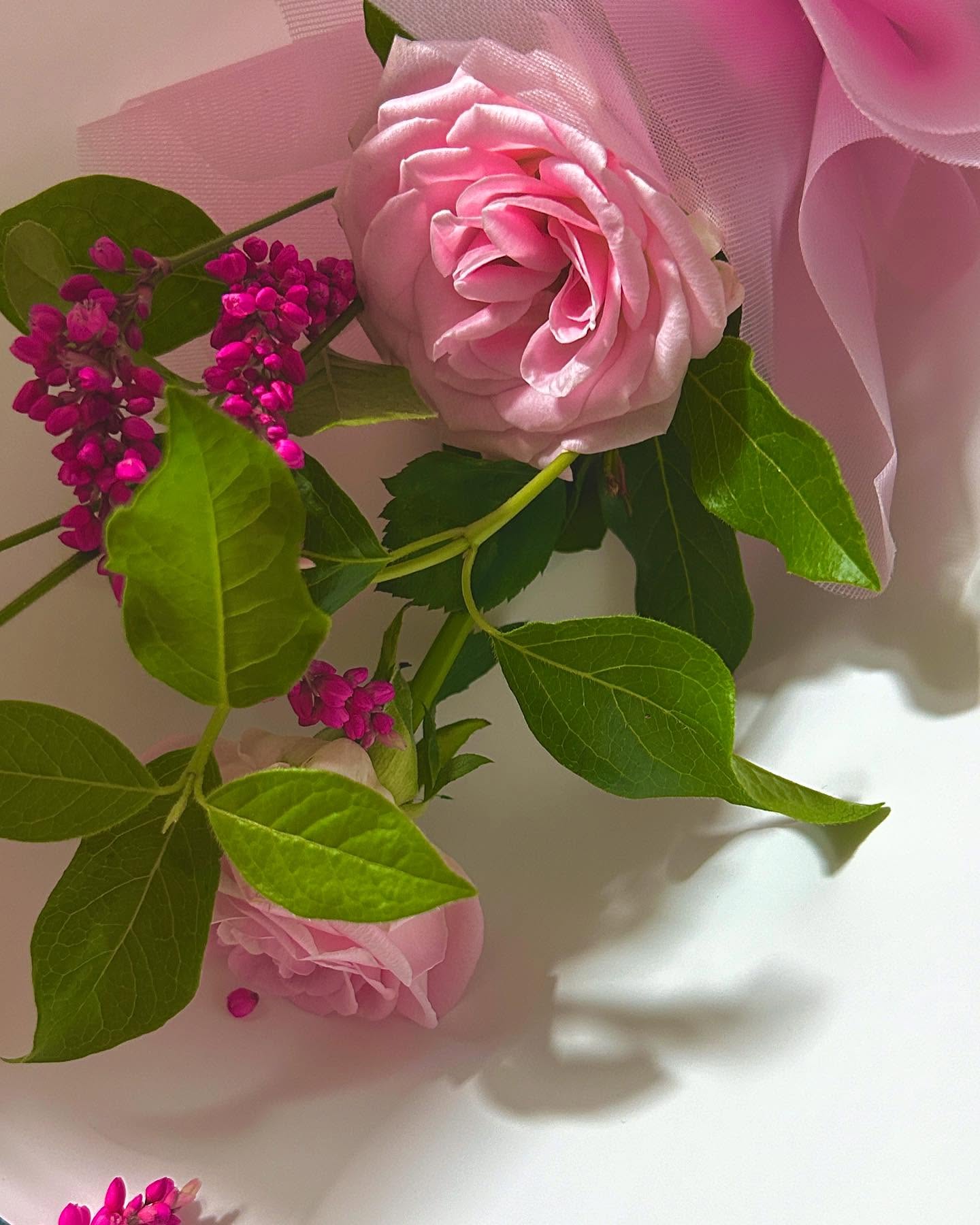 나엄청좋아하는사람이준꽃🌸