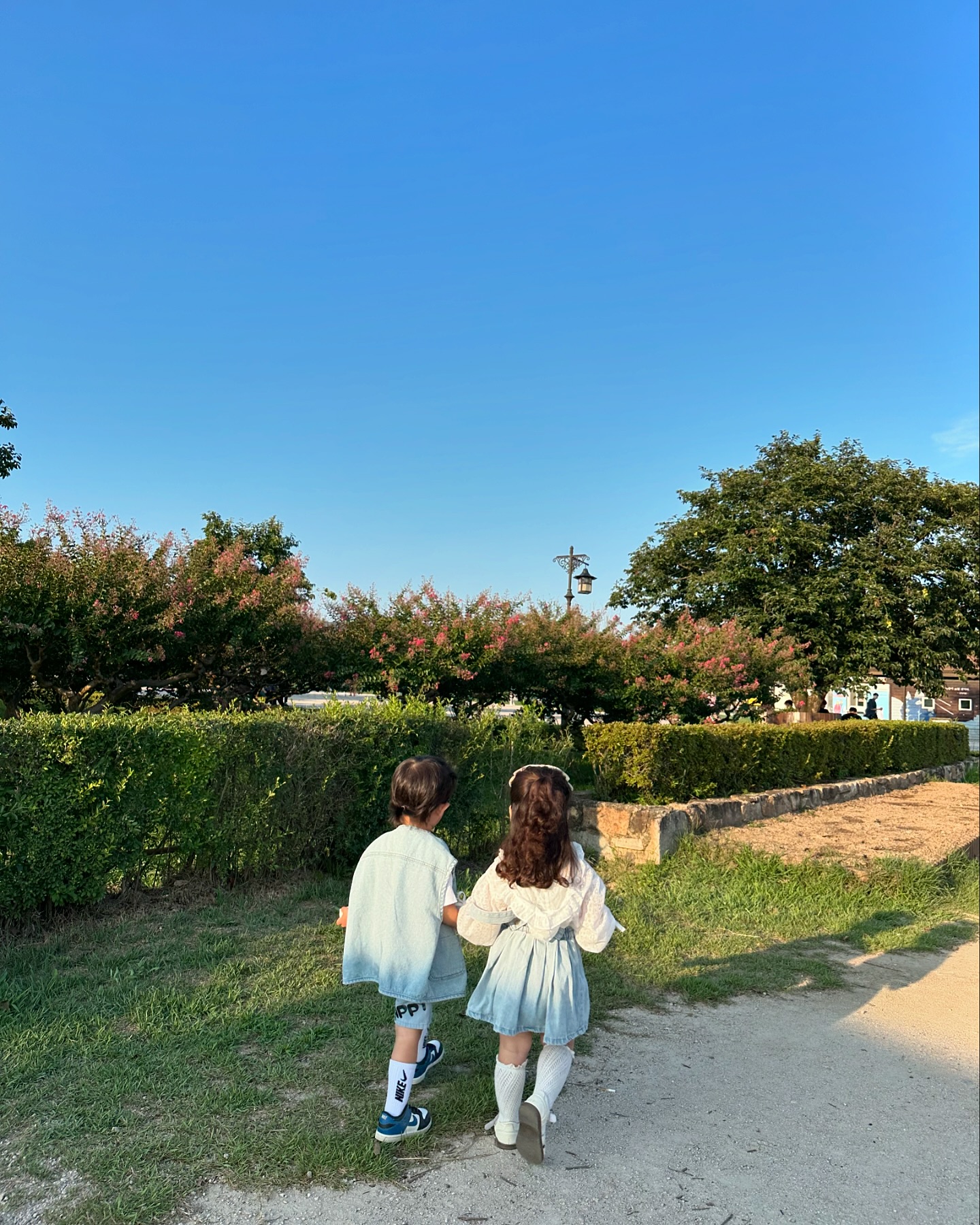 막 찍어도 너넨 참 예뻐,🩵