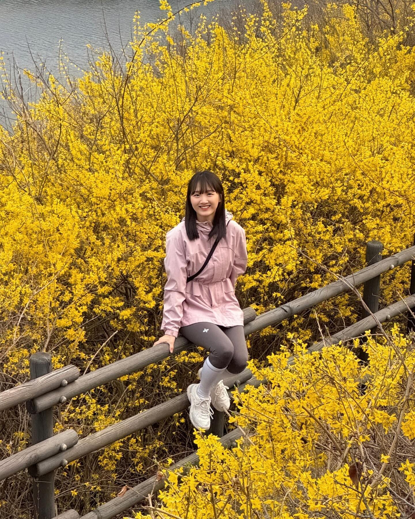 인파 뚫고 응봉산 개나리와 인생샷 건지기 🌼📸
⠀
한강과 울창한 개나리를 함께 담을 수 있는 응봉산 포토존
<서울숲 방면 계단> 은 길목이 짧아서 인파가 많은데요
요리조리 찍으며 느낀 꿀팁을 소개해 드릴게요❕
⠀

🍯 개나리 포토존 꿀팁 ‼️

✔️ 팔각정에서 내려오는 계단 시작점에 서서 줌을 땡겨
 개나리가 가득 차게 찍기 (사진 3 참고) 

✔️ 울타리 앞에서 몸으로 인파를 가려 사이드로 찍기

✔️ 모델보다 높은 곳에서 울타리 밖 쪽으로 손을 뻗어
 정면으로 찍기 🤳 

⠀
이렇게 하시면 인파 영향을 조금이라도 덜 받고
개나리와 예쁜 사진 찍을 수 있어요 !

저장하시고 이번주 막차 꼭 다녀오세요 🌼
⠀

📍#응봉산 

 ⌛️소요시간 : 편도 30분 (응봉역 - 팔각정)
 🅿️ 주차장 : 응봉동 공영주차장
 🚆지하철 이용: 응봉역 1번 출구
 🚌 버스 이용 : 행당역 241 탑승 후 응봉현대아파트 하차
⠀
✔️ 포토존 위치 : 응봉역에서 팔각정 도착 후 맞은 편
서울숲 방면으로 내려가는 길
✔️ 5시에 방문해 사진 찍고 일몰 + 야경 함께 즐기기 
✔️ 사람 너무 많으면 인왕산 개나리 보러가기 
(독립문역 - 해골바위 코스)
⠀⠀