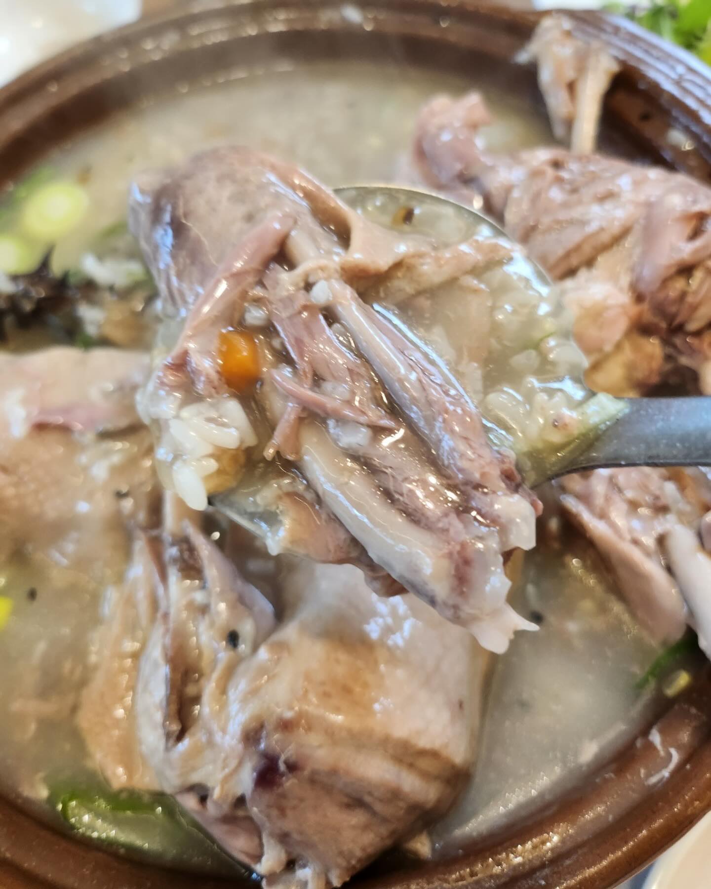 #광고
순천맛집 닭코스전문요리점 The미주농원120
7200초동안 푹 끓여낸 몸에 좋은 오리고기와
쫀득하고 고소한 찹쌀 누룽지가 일품
추운날 몸보신하기 딱조아👍🏻🤍

#순천맛집#순천맛집추천#순천닭구이
#순천만맛집#순천백숙#순천코스요리
#순천닭집#미주농원120