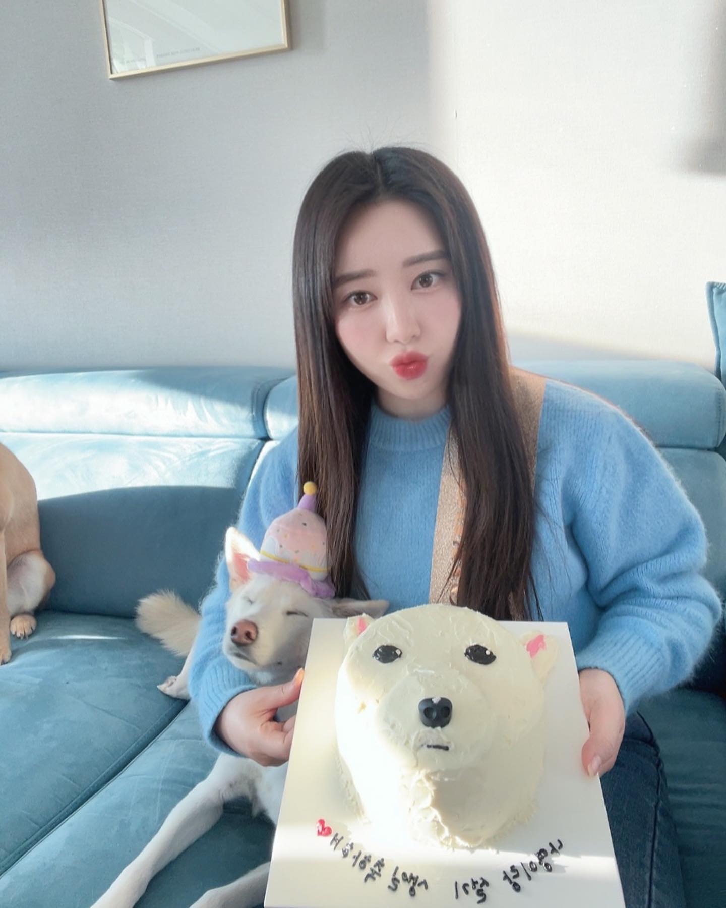 설기 호두랑 생파🥳 개린이들 1살 생일축하해💖

#개린이 #개린이생파🐶🐶🎉 
#귀여워 #귀염뽀짝 #멍스타그램 #hbd