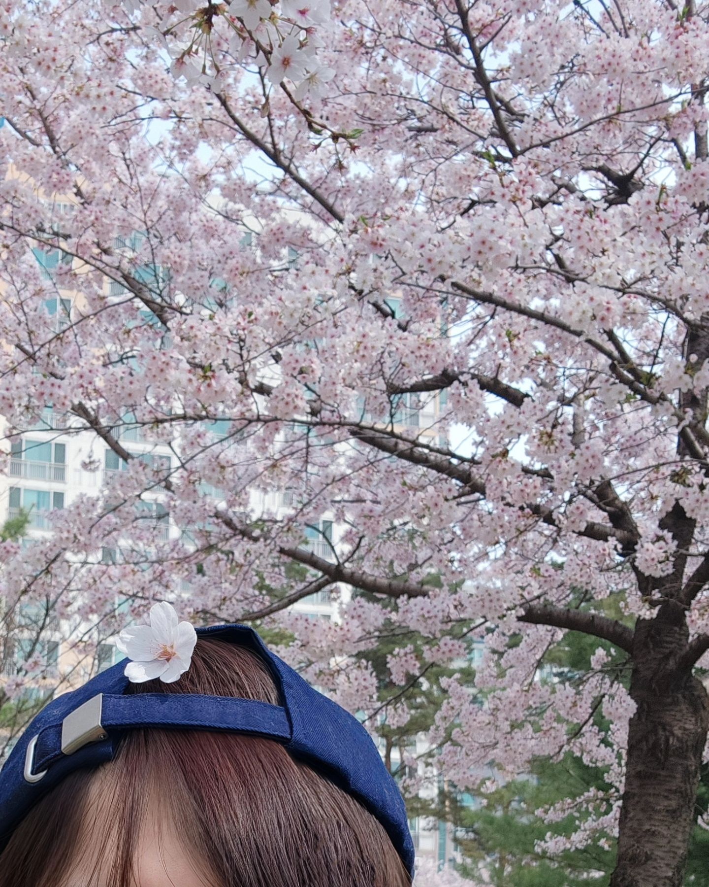 날이 좋아서 밥 먹고 산책 나옴
벚꽃은 흐드러지게 이쁘고
살랑부는 바람에 떨어지는 꽃비.. 🌸 

스벅에서 아이스 밀크티 한잔 들고
무작정 걷는데  왜인지 좋다♡

서점에 들러 책 한권 사야디 📚 
나온김에 #사전투표완료 🌸

#20240406
#벚꽃이떨어지는속도
#초속5cm