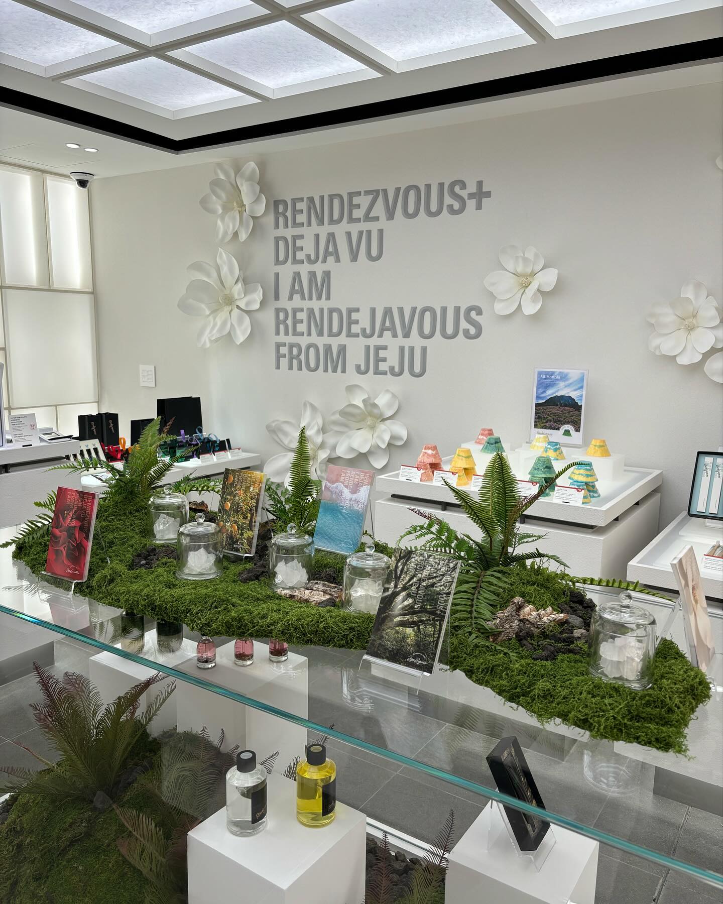 #협찬 iam_rendejavous
.
제주 컨셉 카페 랑데자뷰 + 제주 아이덴티티를 공유하는 제주 친환경 비건 코스메틱 브랜드 ‘아이엠랑데자뷰’
.
한라산에서만 자생하는 화이트매그놀리아를 모티즈로 조향한 시그니처향이 꽤 맘에 들었음❤️
.
제품들을 자유롭게 체험해 볼 수 있고 포토존도 많아서 그런지 외국인 관광객도 꽤 오는 편
.
직원분도 너무 친절하고 이벤트도 진행중이니 참고 바람👀
.
인스타 팔로우 이벤트 : 인스타 팔로우 후 댓글에 친구 태그하면 매주 1명씩 2만원 이용권 증정 ( 곧 매주 5명으로 늘린다함 소근소근)

친환경 대나무 칫솔 무료 즐덩 이벤트 : 카카오채널 친구추가하면 칫솔무료 증정 쿠폰 받을 후 있음
.
.
.
#협찬 #아이엠랑데자뷰북촌매그놀리아점 #북촌 #북촌한옥마을 #북촌데이트 #북촌한옥마을 #북촌데이트 #안국역 #안국역데이트 #아이엠랑데자뷰 #iamrendejavous #비건뷰티 #비건화장품 #비건코스메틱 #클린뷰티 #가치소비 #업사이클링