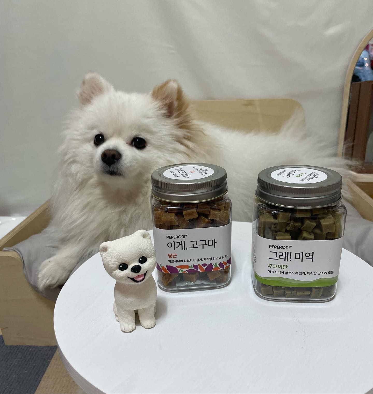 #협찬 #페페로니 #강아지간식

페페로니 그래 미역! 이게 고구마! SET💚

페페로니 간식은 이미 보호자님들 사이에서도 유명한 간식이기도 한데요.
시리즈별로 다양하게 출시가 되었어요 :)

이번에는 미역과 고구마 간식이 새로 출시가 되고 ”우리“가 한번 먹어보았어요.
연어, 소고기, 닭고기, 치즈고구마, 오리고기 등 종류별로 다양해요.

미역과 고구마 간식은 체지방 감소에 도움이 되는 카르니틴과 가르시니아가 들어있어요!
가르시니아는 체지방 감소를 도와주는 보충제로 사람영양제로도 유명한 편인데요.

그냥 간식이라고 해서 아무거나 주는거보다는 이렇게 성분이 확실하게 표현된게 좋더라구요💛
총 용량은 180g이고 크기가 작아서 노즈워크용이나 훈련용으로도 좋았어요.

입이 짧은 ”우리“도 잘먹어주니까 기호성 부분에서도 최고예요 :)
한통에 약 180개 가량 들어있는 가성비 좋은 영양 간식이예요.

주변에 선물용으로도 좋고 HACCP 인증받은 시설에서 제조하기 때문에 믿을수 있는 제품이예요🧡

.
.
.
#강아지가수분해간식 #강아지고구마간식 #강아지미역간식 #반려동물간식 #페페로니간식 #가르시니아간식 #강아지노즈워크간식 #반려견간식 #멍스타그램 #개스타그램 #독스타그램 #댕댕이 #개린이 #우리 #강아지 #반려견