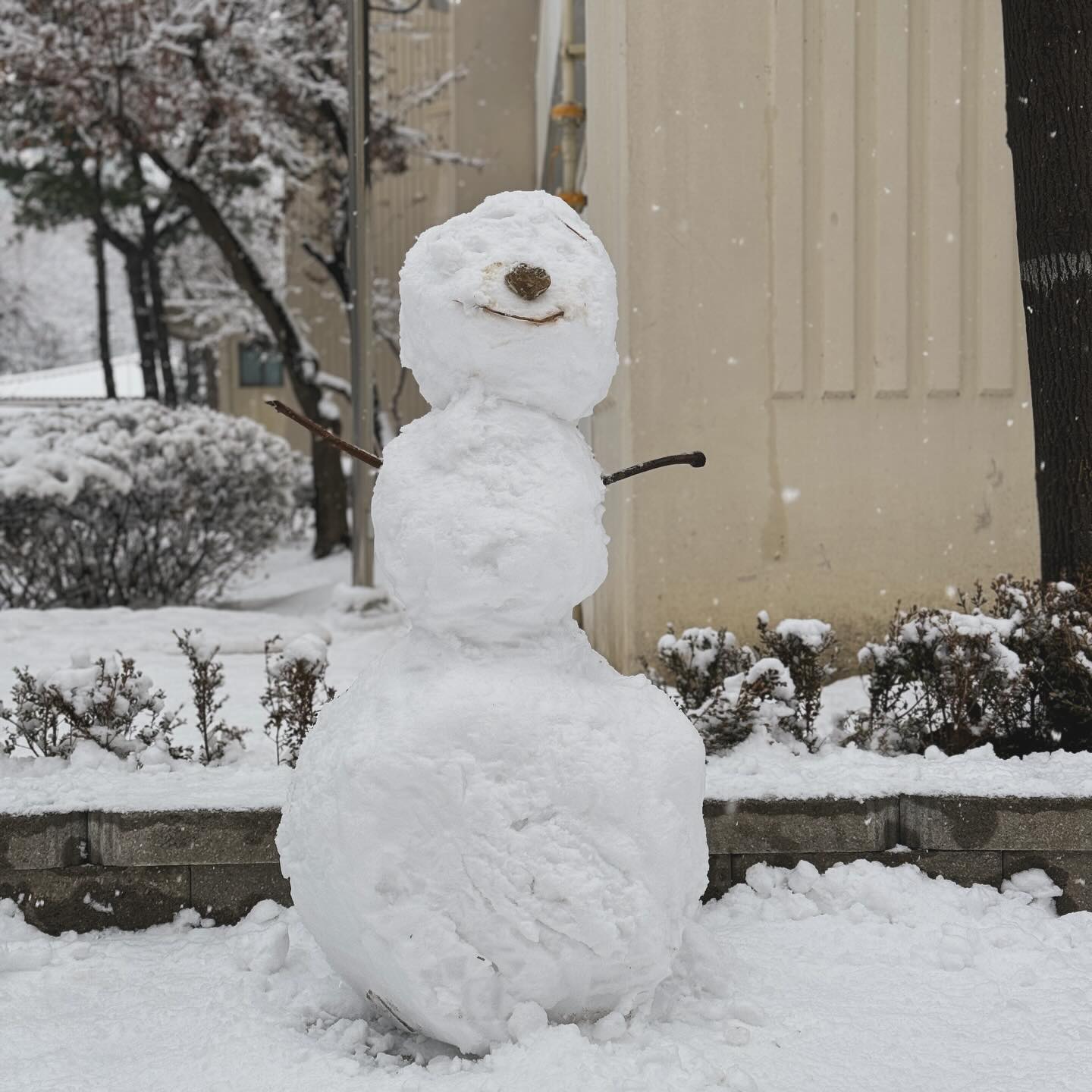 ☃️❄️
#눈사람