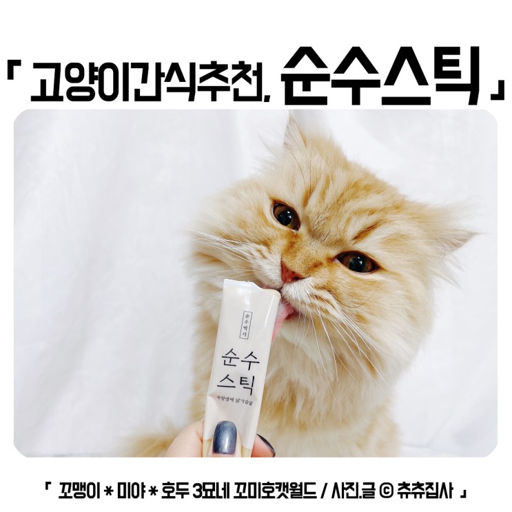 고양이 간식 추천 무항생제 츄르 순수스틱 먹어보아요