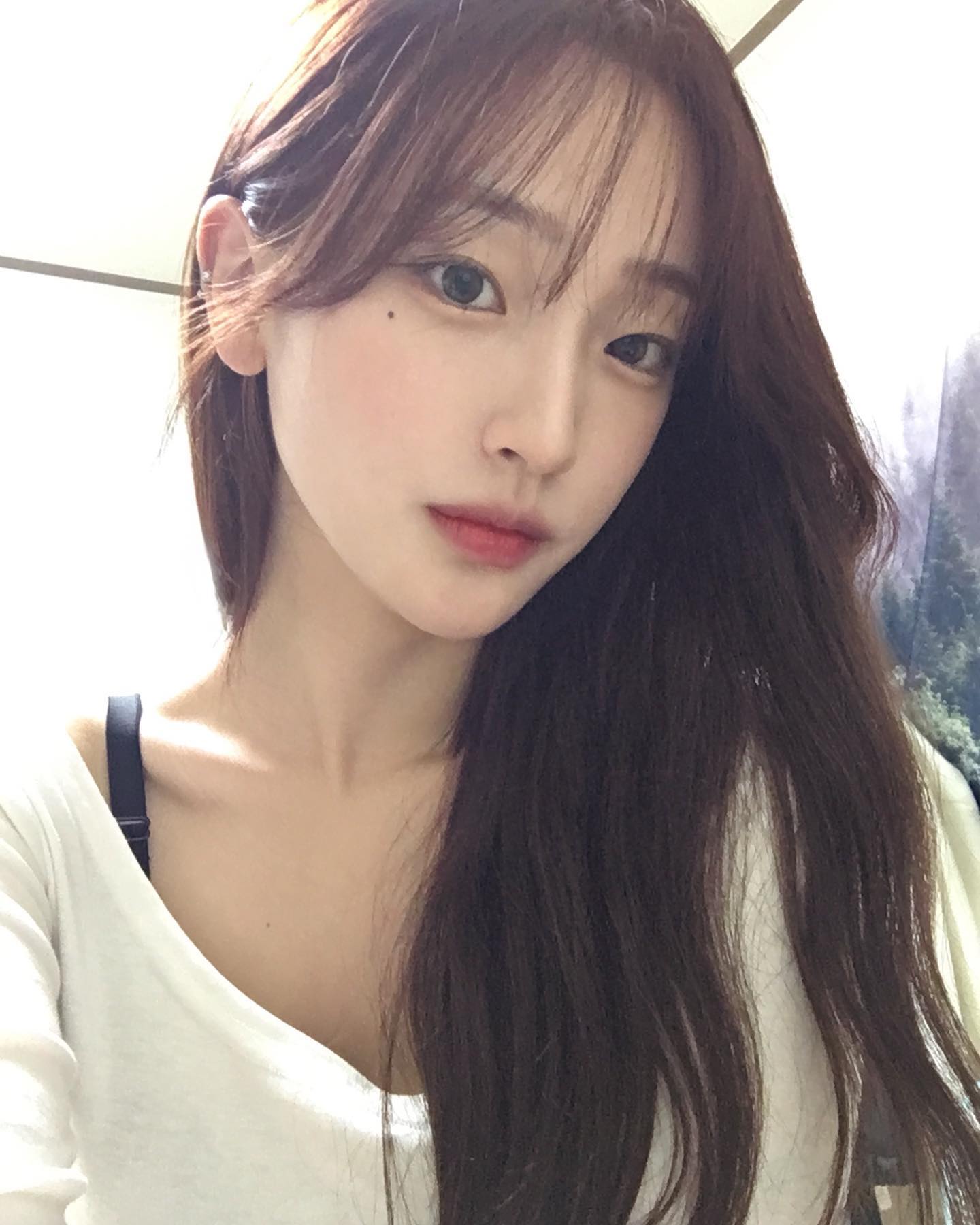 콘텐츠