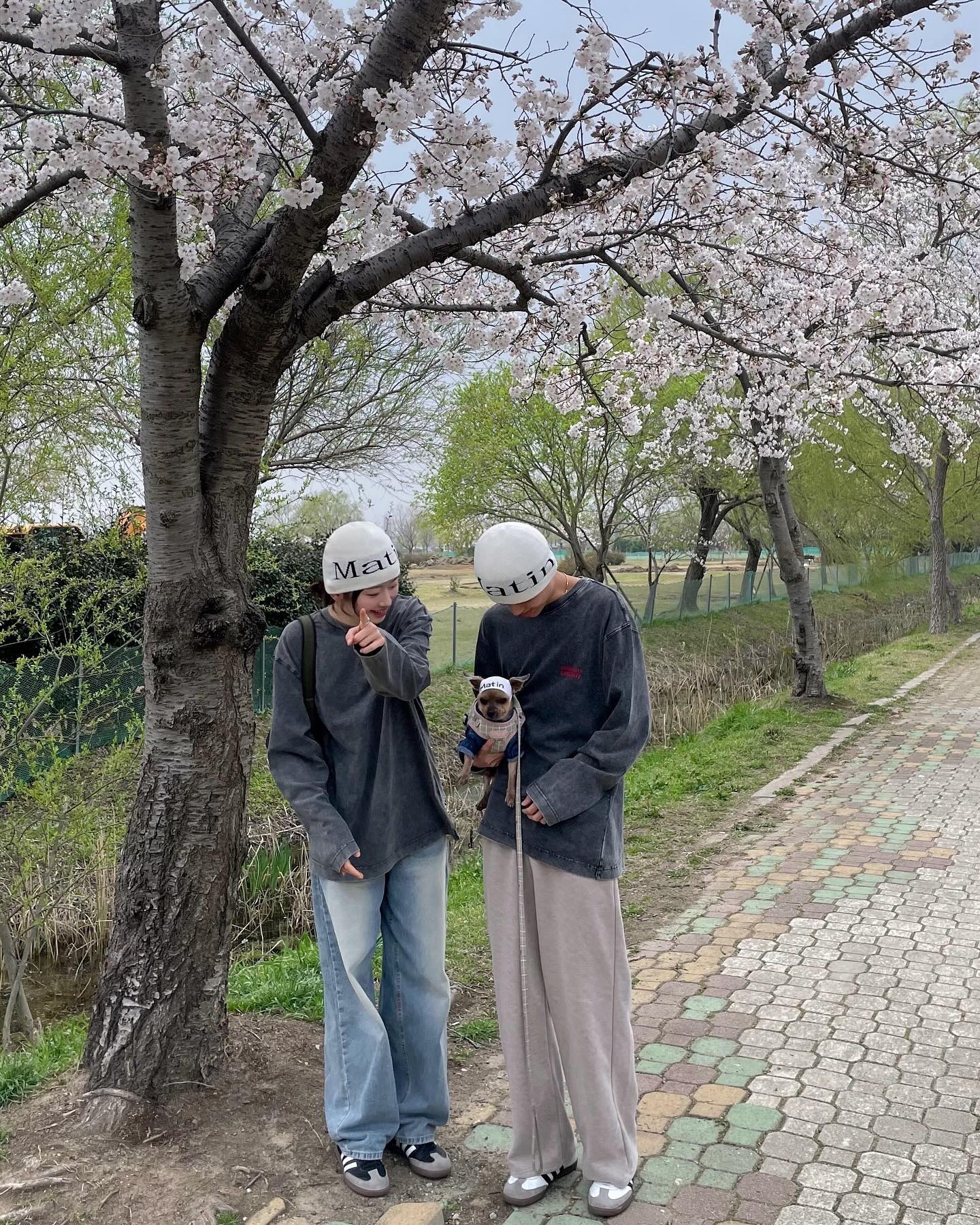 관종 주인들때매 부끄러운 강아쥐