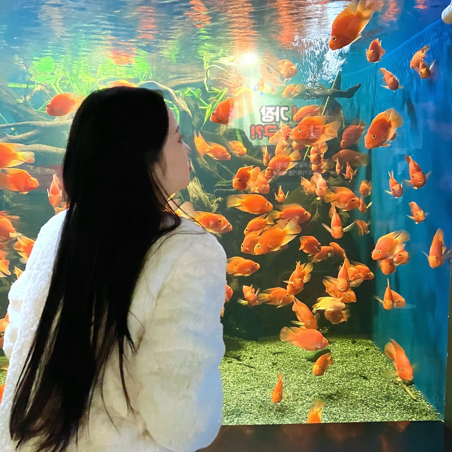 콘텐츠