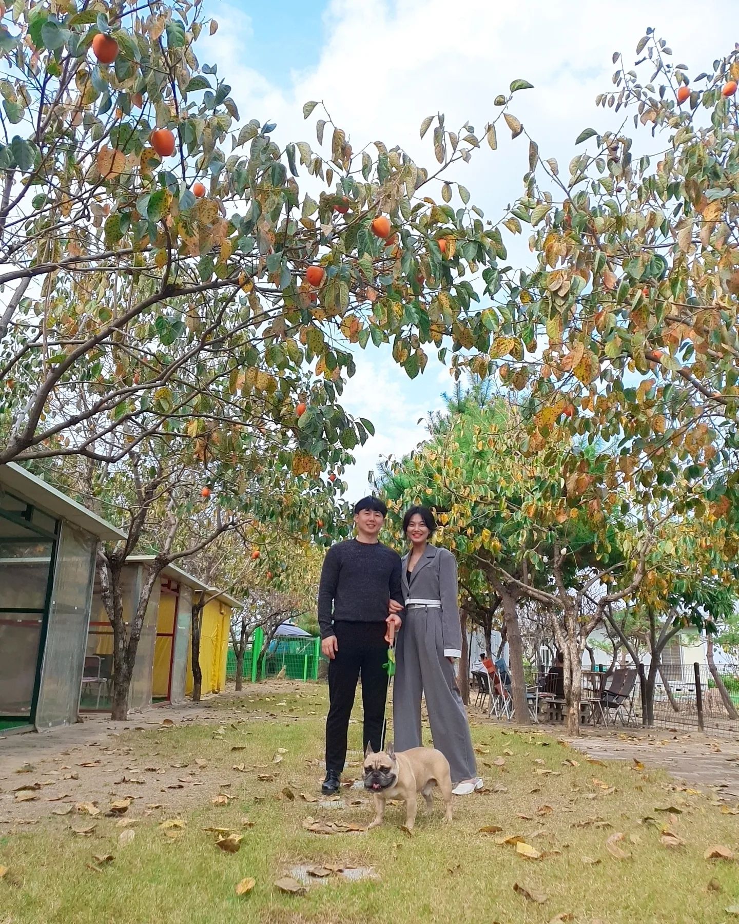 우리개족 4년차👫🐶
.
.
#대구 #경북 #경산 #개족사진 #경산애견동반 #경산강아지랑 #애견인 #반려견 #애견인소통 #견주소통 #추억 #일상 #일상공유 #프렌치불독 #프불 #화운프불 #럽스타그램 #신혼일기 #신혼부부