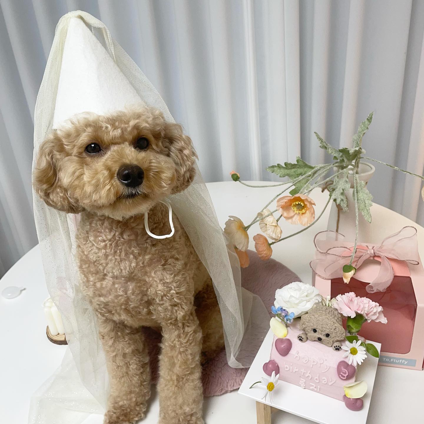 마먀가 요즘 바빠서 당일에 못 챙겨준 룽지 세살 생일파티 ..
졸려 죽겠는데 밤 늦게 해서 미앙 🥺
눈이 감기는 생파였지만 케이크 먹자마자 맛있어서 눈 땡글❤️
언제나 힘들 때 옆에 있어주는 너무 소중한 룽지🐶
생일 너무 축하하구 건강하게 오래오래 살아조 🙏
사랑둥이 룽지🎉🥳♥️