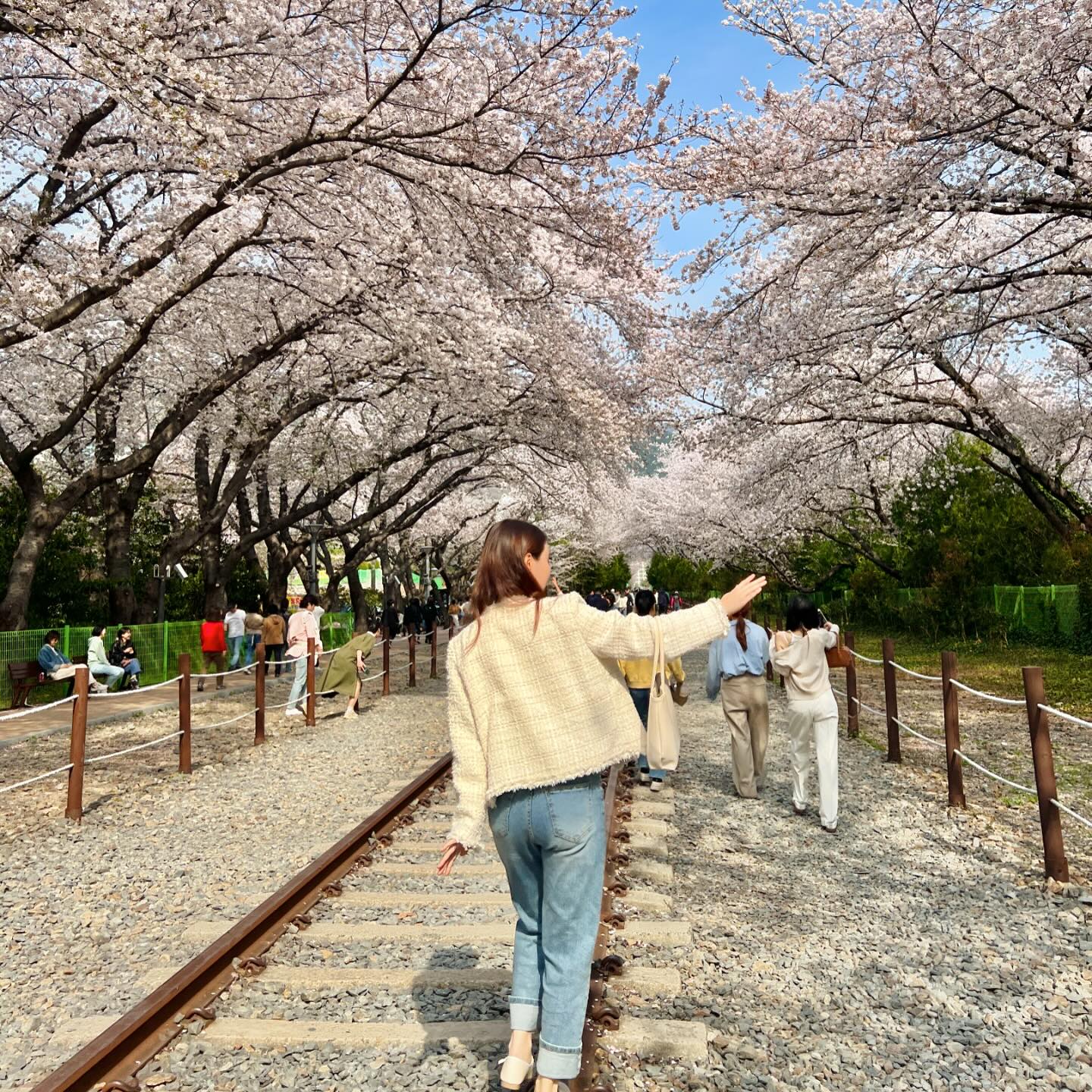 한해동안 머리카락 많이 긴 만큼 살크업
그래도 행복하면 됬지 머~🐽

#경화역벚꽃길
#안민고개벚꽃길

#벚꽃구경🌸