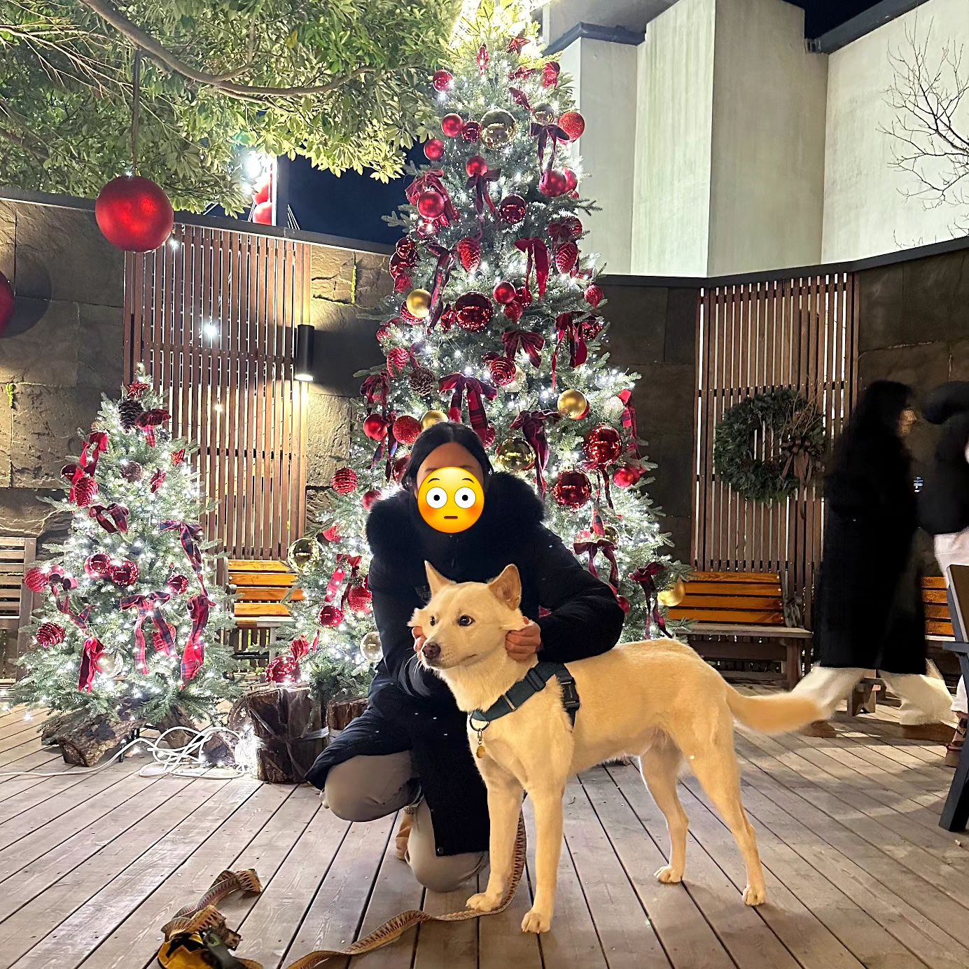 요즘 SNS 줄이기를 하고있어서 
내가 가진사진은 멍멍이 사진뿐 🫠 꿱