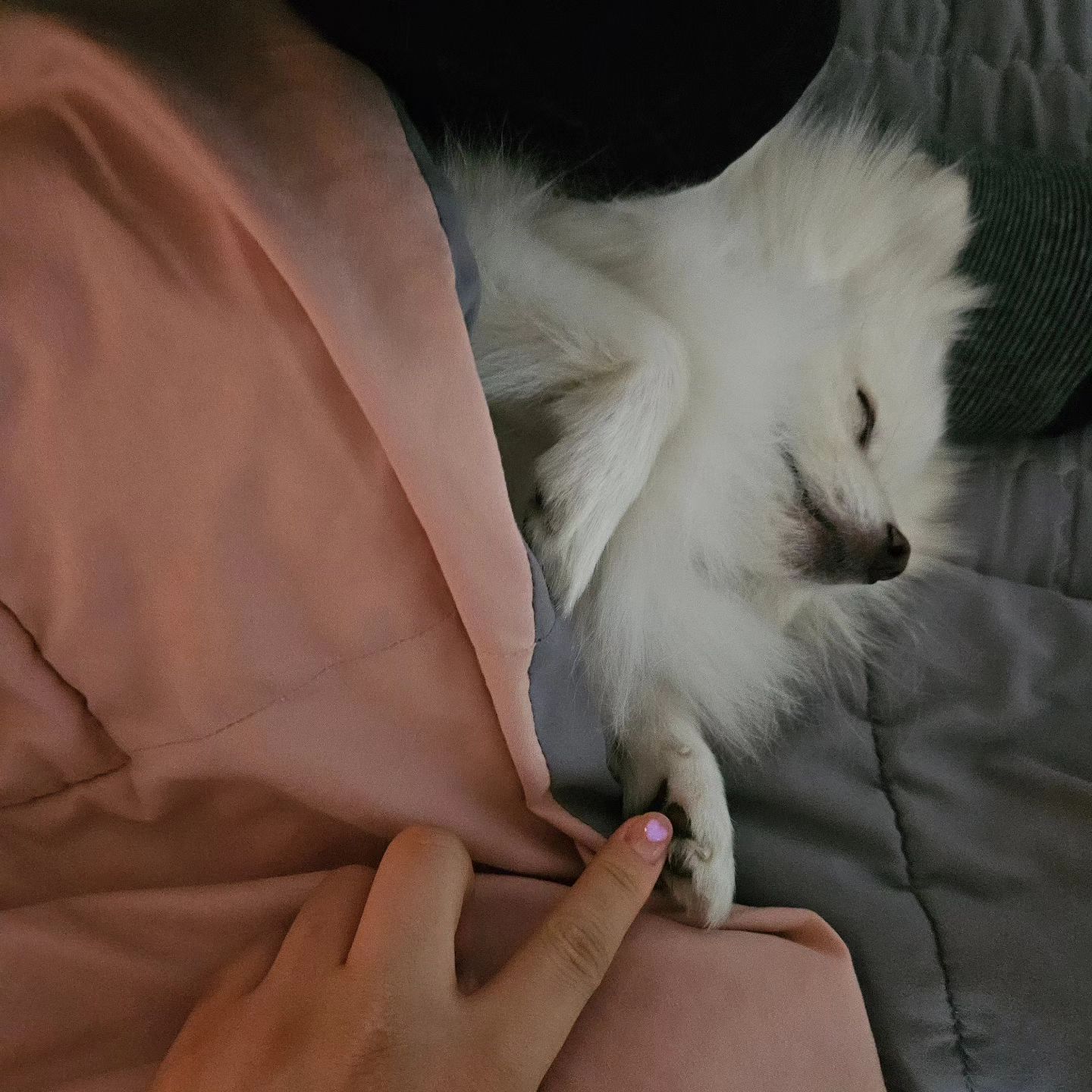 횽아랑 쿨쿨