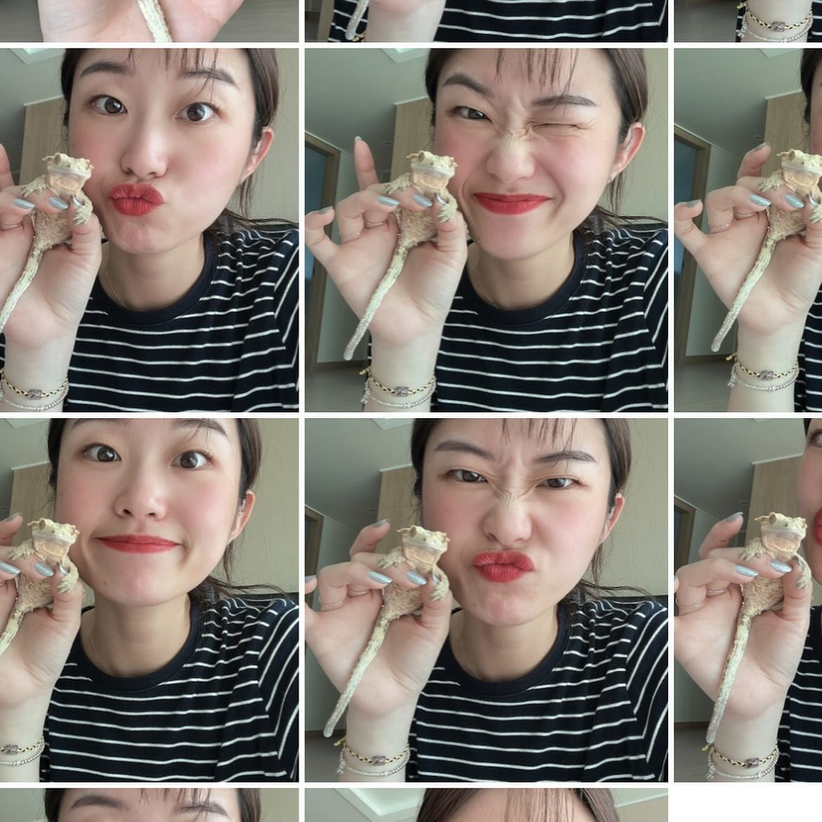 세상 착한 노복이랑 넘모 예쁜 레복이🦎
머 거의 20분간 내손에서 내가 뭘해도 가만히 있는
그리고 신나게 노복이랑 별짓 다 하는동안 목 뒤에 가만히 계시는
순둥이 두마리♥♥
지우니가 왔다갔다 하면서 쟤들 왜 가만있냐고 웃드라ㅋㄷㅋㄷ
이모랑 놀아조서 고마오....자주 보고싶다 얘두라ㅜㅜ
#게코 #도마뱀 #크레스티드게코 #게코스타그램