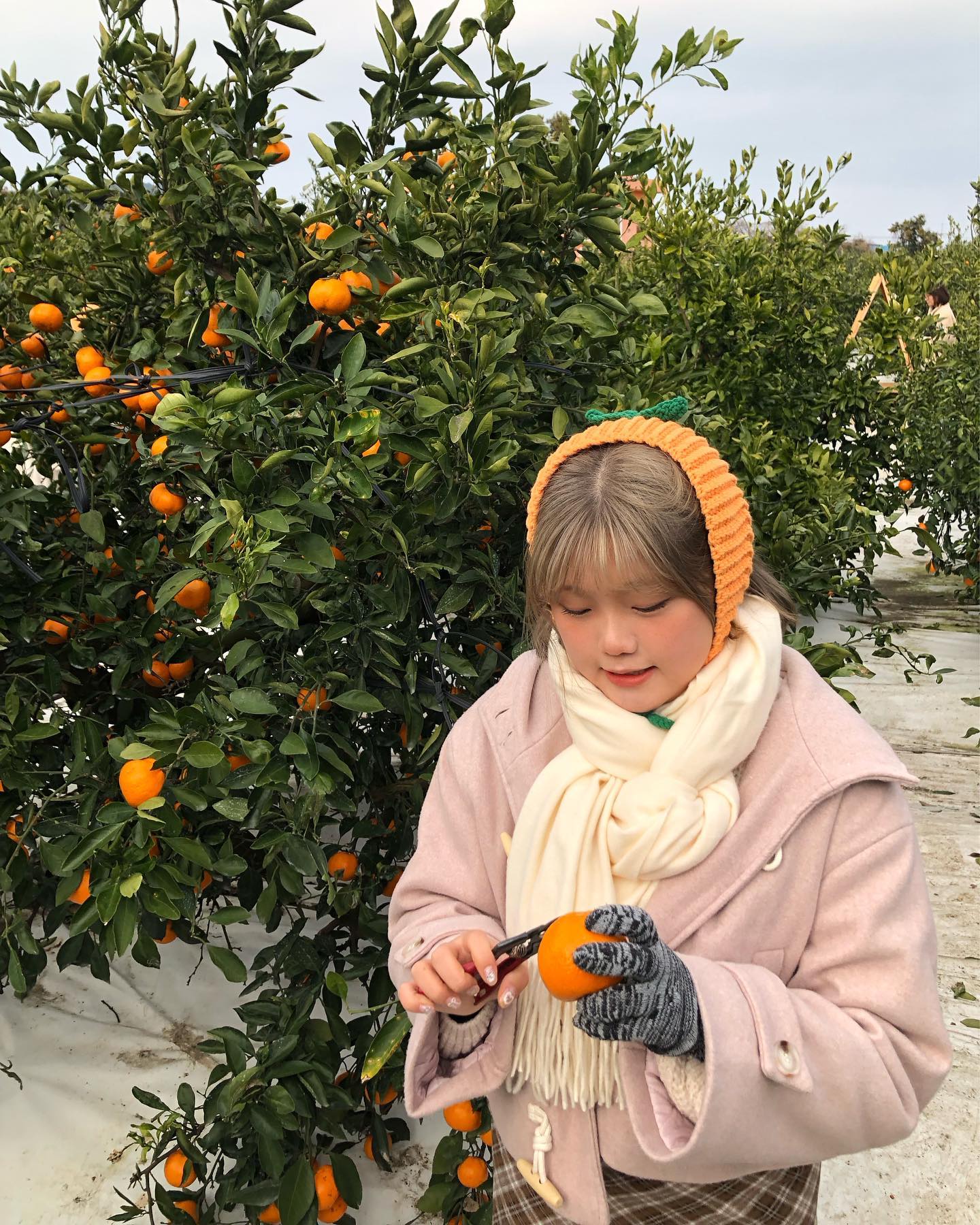감귤따기소녀 ~///🍊🎀