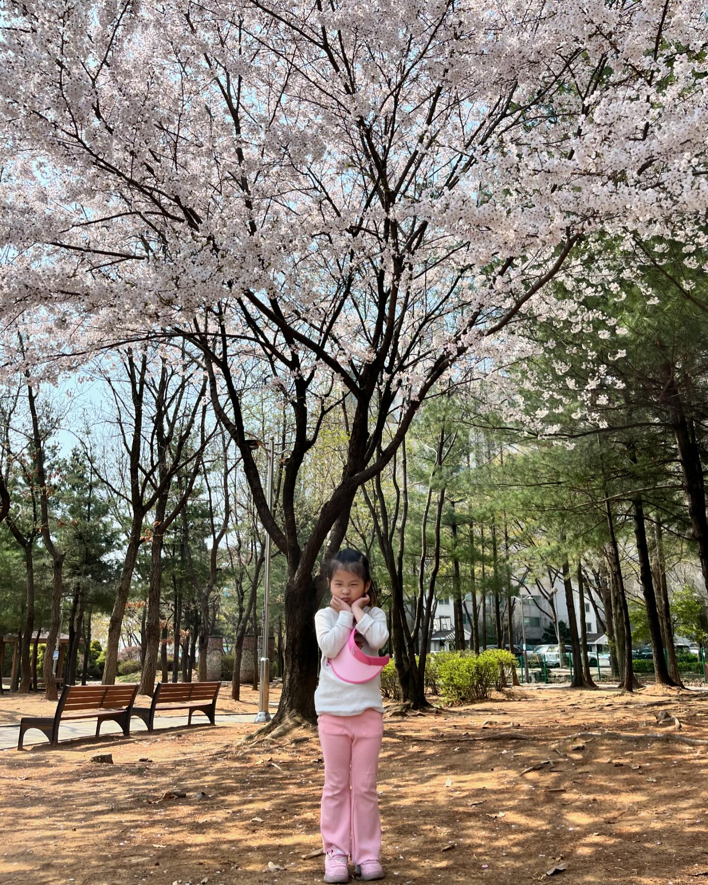 오늘 아침부터 참 열심히도 놀았다 우리-!!
급만남이었지만 리니 이모와 거이 하루종일 함께한 하루-!
벚꽃사진 제대로 못찍어줘서 좀 아쉽지만
그래도 너희들은 신난 하루였지?

fls___111 이모 다음에도 부탁해요🫶