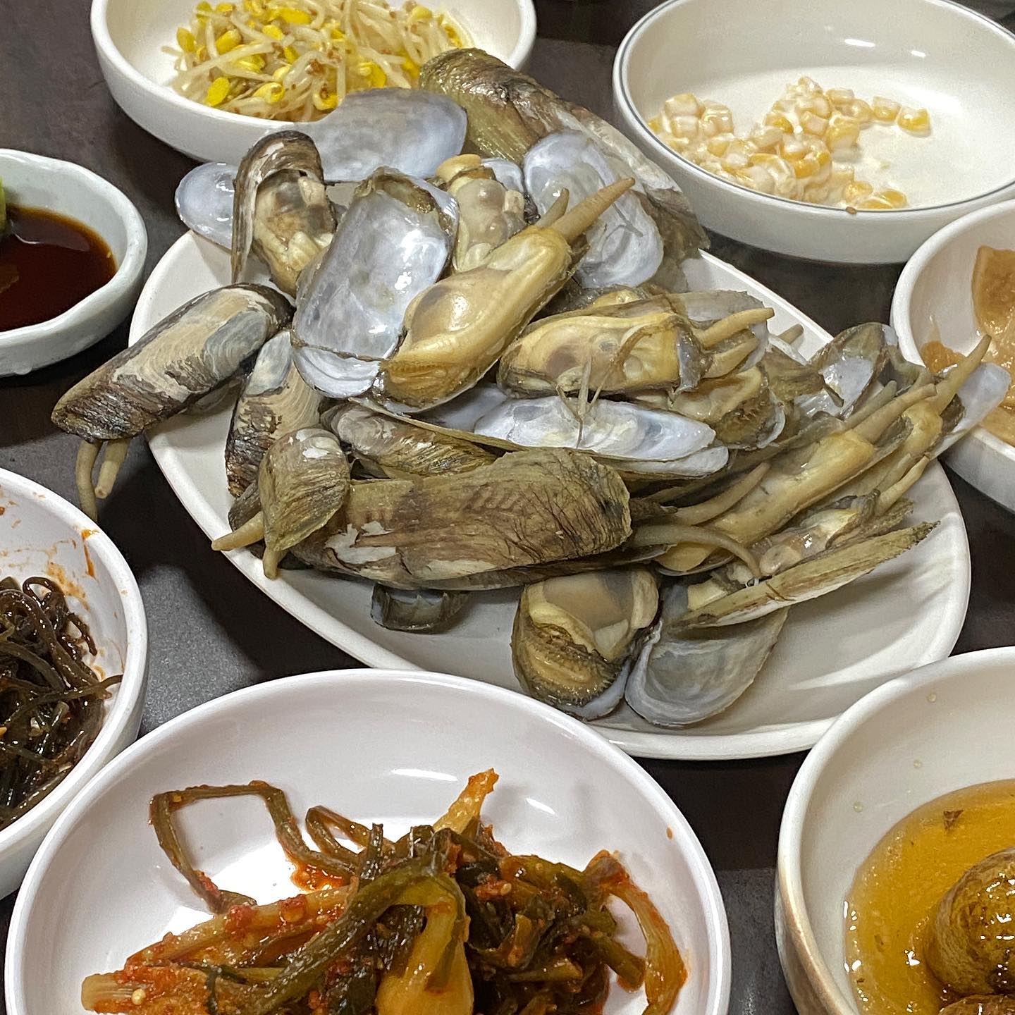 인친님 피드 보자마자 맛조개 못참지 ~ 나 5년만에 구시청 다녀왔다 •• 계절음식점을 좋아하지만 진입장벽 때문에 잘 안가는데 친절하시고 맛도 좋고 반찬들도 계속 손이가서 이날 3차 갈곳 없어가지고 진지하게 다시갈까 고민함 🤔
.
.
.
.
#소문난쭈꾸미
#구시청술집
#맛조개숙회 #새우탕
.
#도덕의맛따라멋따라_광주