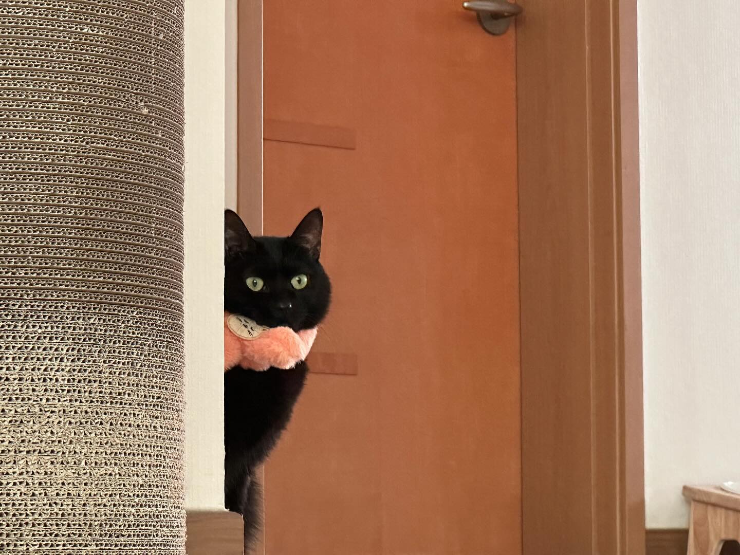 염탐 중👀