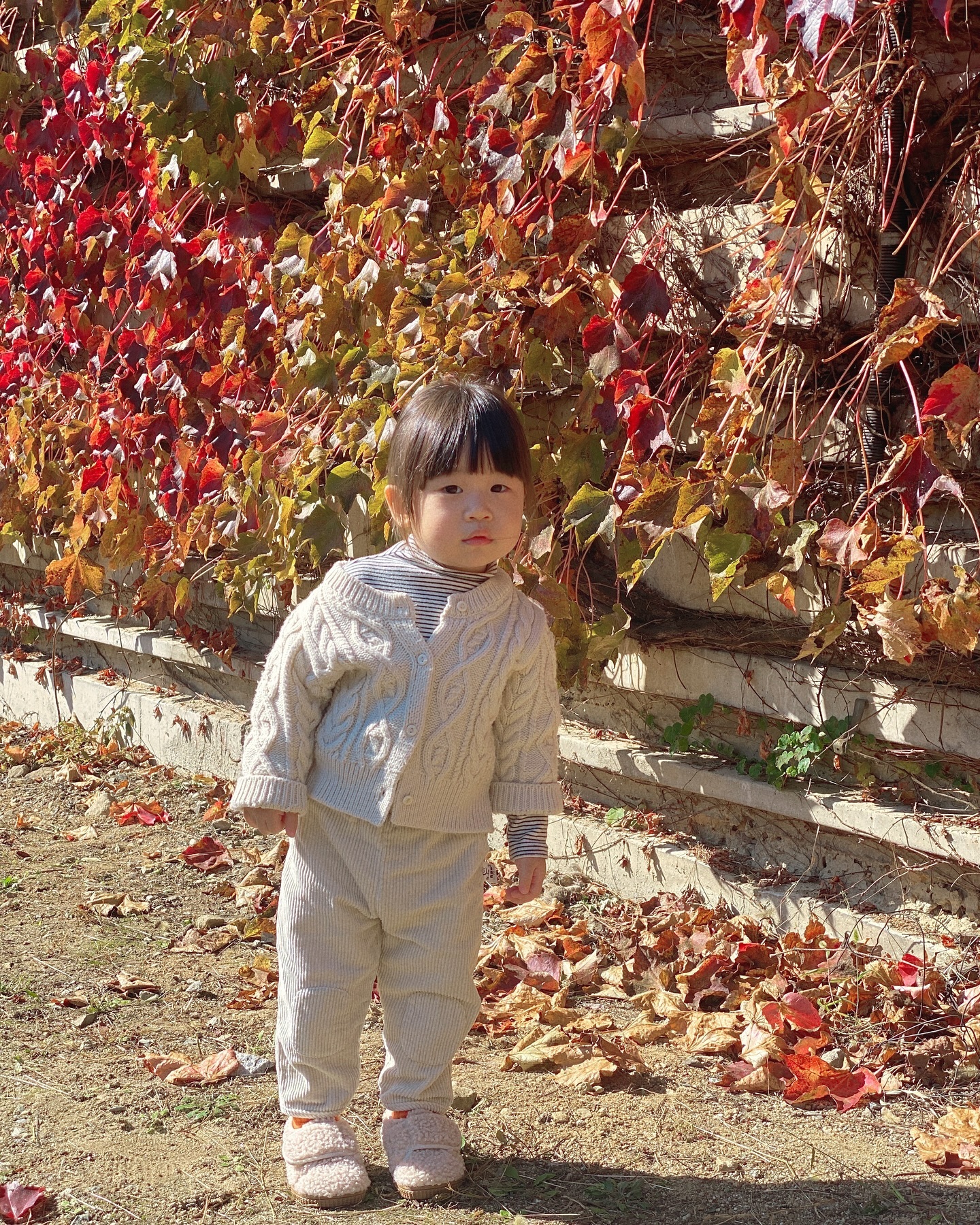 서빈이의 가을 🥨🍂🍁🍪🍄‍🟫🤎