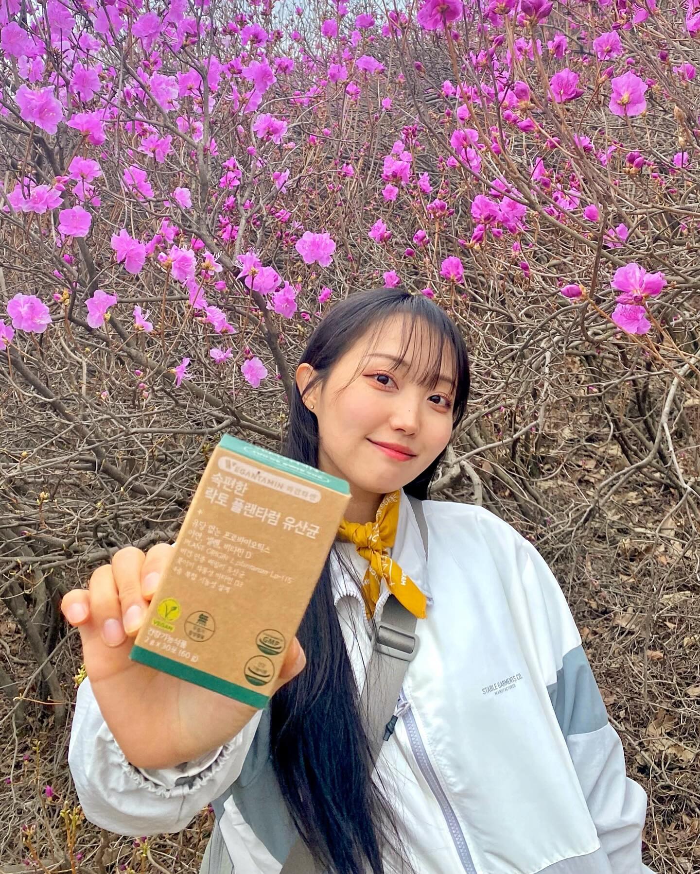 #광고 x vegantamin 
계양산 가는 왕복시간보다 산행시간이 더 짧아 1번 가고 안갔었는데,,😑
부분 공사중인 것을 잠시 잊고 갔는데도 둘레길 은근 괜찮은데,,?
야등으로 가서 계양산의 매력을 잘 못느꼈었는데, 밝을 때 가니 오!
오르면서 중간에 진달래도 소량 펴있어서 봄도 느꼈다><
계양산에서 사진 천장 기록 세워 봐~? 하고 호기롭게 갔는데,
정상에서 아주 잠시 쉬다 보니 갑자기 투둑,, 비가ㅇㅅㅇ,, 
1시부터 비온다매,, 12시30분인데 벌써 오고 그랴 ㅠㅜ 후엥,,
잠시 쉬고 정상석이랑 사진찍고 하산해야지~ 했는데 까비🙄
더 쏟아지기 전에 비 맞으면서 후다닥 찍고 하산 튀튀- 해따,,
모자없는 바막입고 우산챙긴 나,, 모자쓰고 우산 안챙긴 똥희,,
결국 둘다 젖어서 호달달 떨며 코를 쿨쩍거렸다고 한다,,😥
푸르른 여름에 공사가 끝나면 긴 코스타러 다시 올게 계양쓰,,

-

✅ 인천 계양산(395M)
📅 방문 : 24.03.25(월)
⛳️ 코스 : 계산역3출>계양산성박물관>육각정>팔각정>하느재>계양산정상>하느재>계산역(원점회귀)
🏃🏻‍♀️ 거리 : 약 4km
⏳ 시간 : 2시간 이내(11:20~13:15)
🌡️ 날씨 : 흐림>비(기온_평균4 최고12.4 최저3.2 / 평균풍속4 / 강수량5.1)
🚽 WC : 들머리 1개 있음
🚘 교통 : 대중교통_지하철 1호선 계산역 / 주차_계양산 공용 주차장, 계양산성 박물관 주차장, 계양산 공원 주차장
🛒 편의 : 들머리 역 내 편의점&간이음식점 / 날머리 에어건있음
⚠️ 기타 : 부분 공사중으로 우회로로 등산가능(24년 7월 내 완공 예정)

-

❓ VEGANTAMIN
국내 생산 최초! 식물성 유산균으로 비건 인증을 받았답니다 :)
평소 유산균을 항상 챙겨먹으면서도 유당때문에 늘 힘들었는데,
락토프리로 유당불내증이 있는 저에게 속이 정~말 편했습니다!
요즘 비건,채식 하는 분들이 많은데 정말 딱이라고 생각들어요!
무 설탕이라 일반 유산균처럼 단맛이 없고 곡물맛이 나서 고소!
아기, 임산부까지 섭취가 가능하니 선물용으로도 딱이네요 :-)
이지컷팅방식에 휴대하기도 매우 편해서 가방에 쏘-옥
등산 후 만난 동생들과 사이좋게 나눠 먹었습니다>< 꼬소꼬소!
✔ 제품 : 비건타민 속편한 락토 플랜타럼 유산균