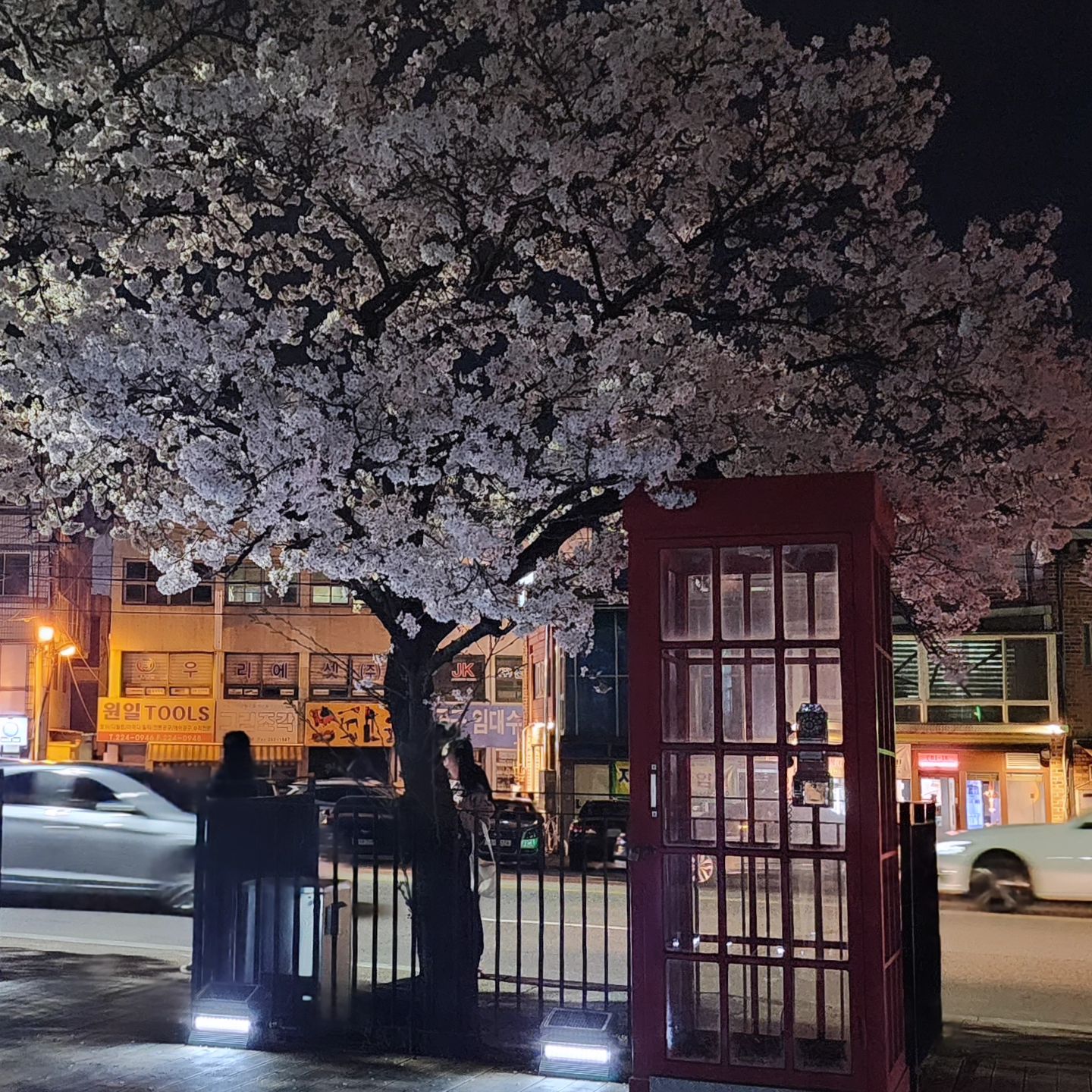 무심천 벚꽃🌸

이틀만에 이렇게 활짝 피다니
완전 만개했어요
밤이되니 바람이 많이부네요
비가오려나ㅜ
벚꽃 이제 피었는데.........

#청주벚꽃
#무심천벚꽃
