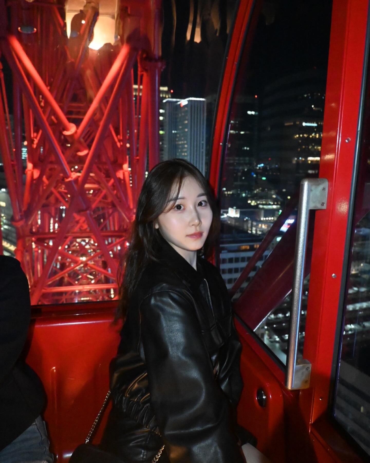 🎡