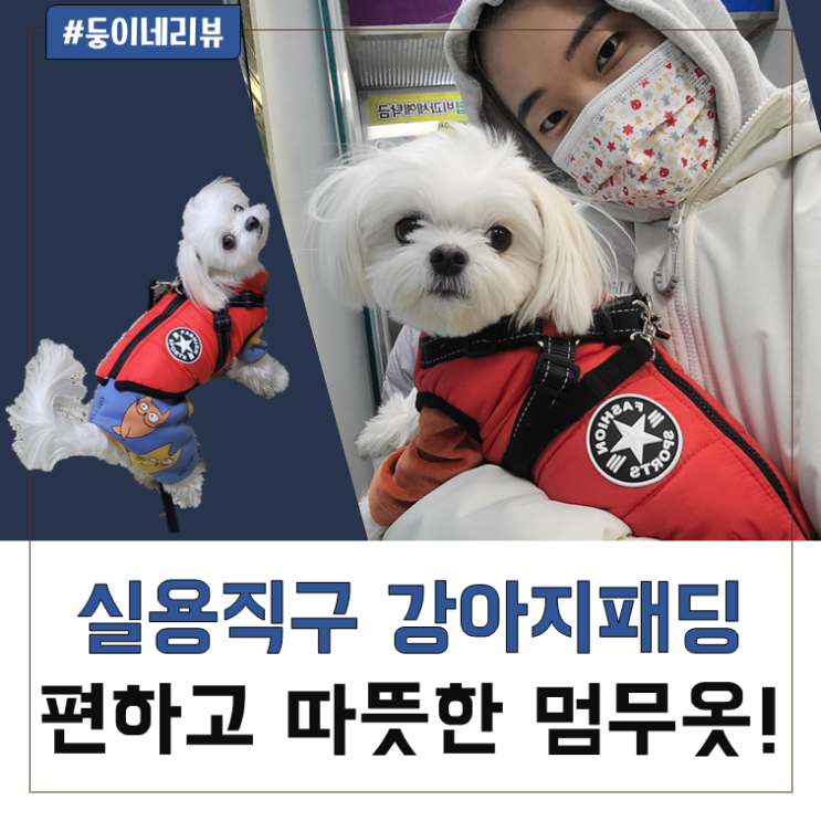 강아지 따뜻한 겨울옷 가슴줄 있는 하네스패딩!