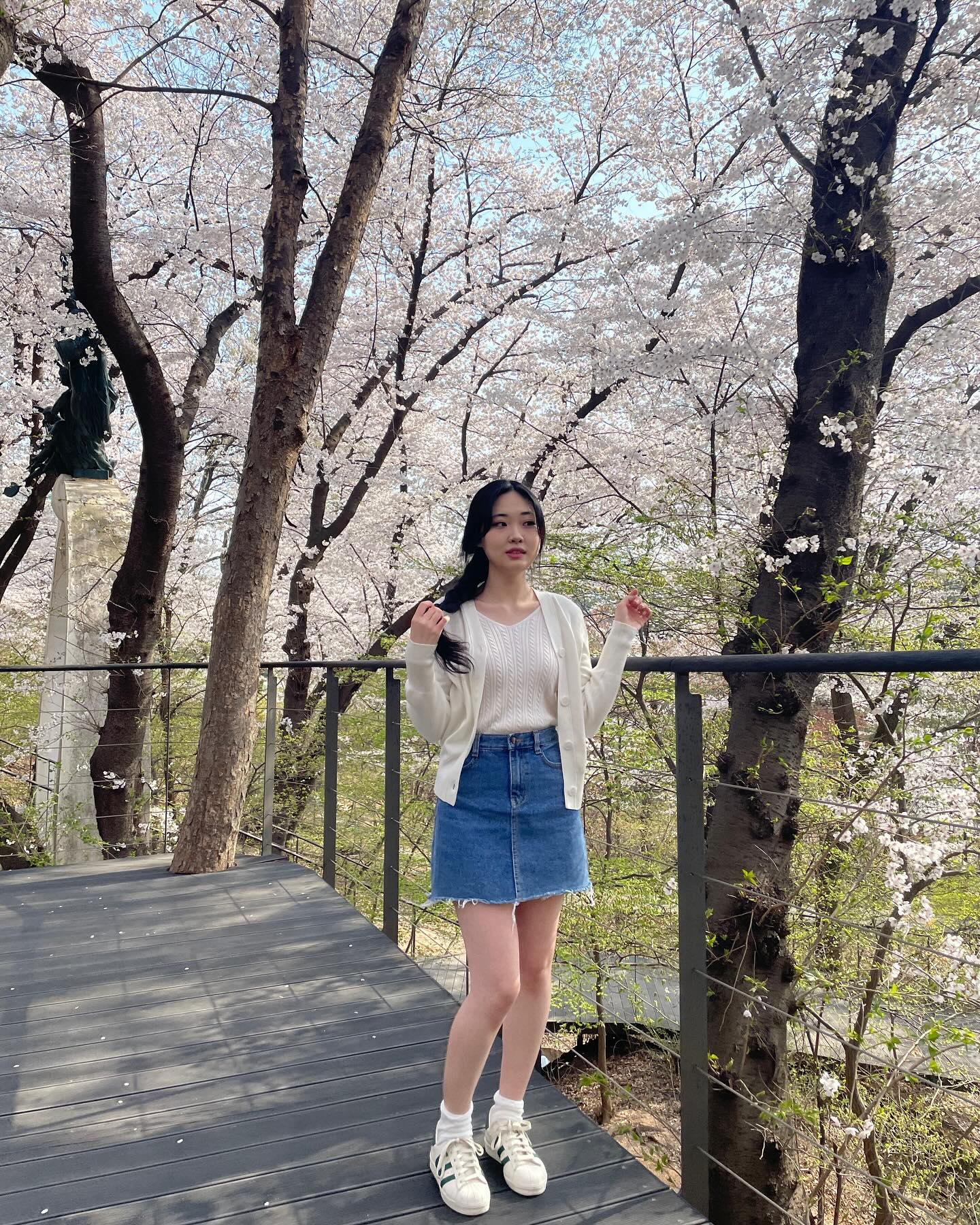 벚꼬치다🌸