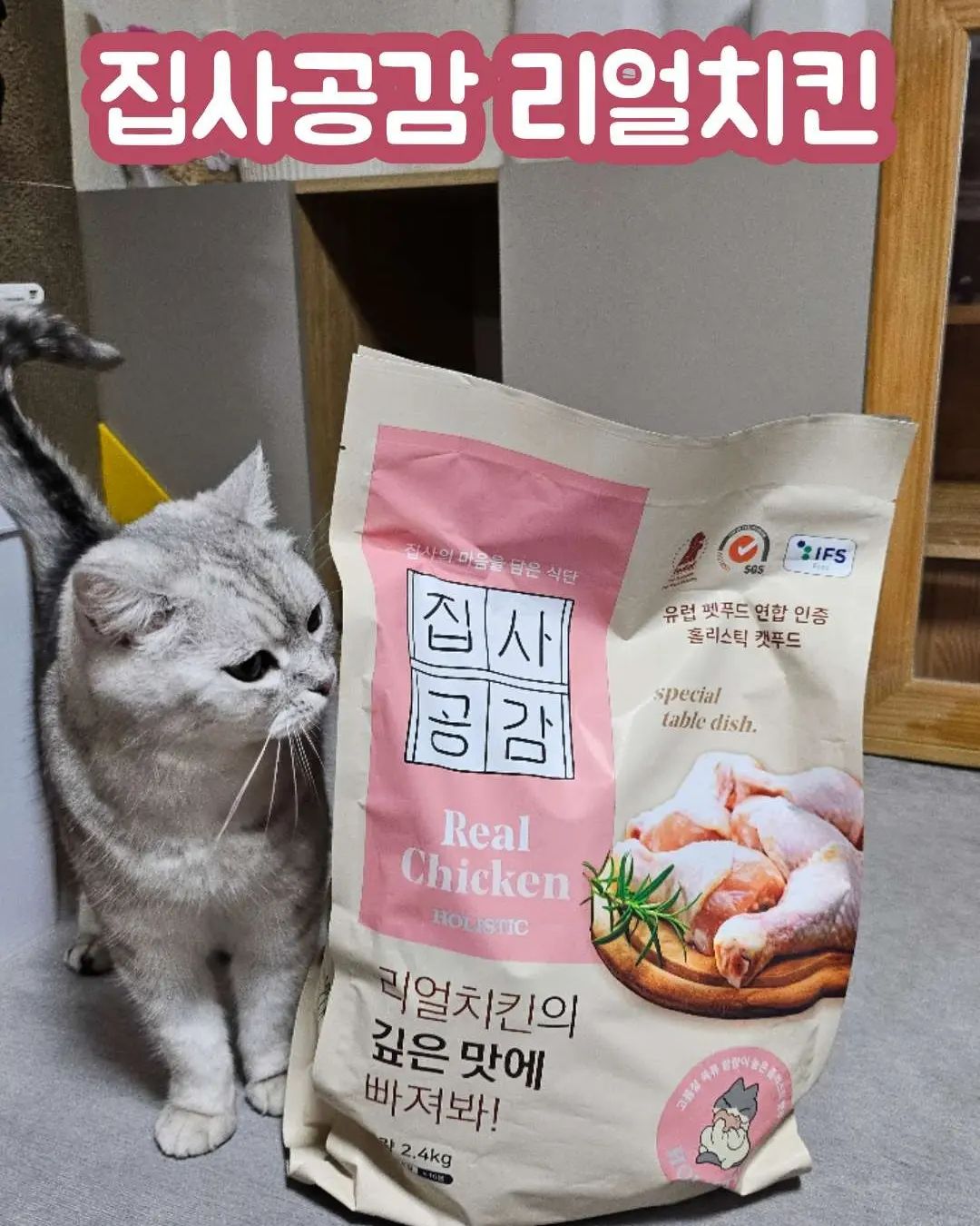 #이벤트 #제품제공

🏷️구매문의 jibsagg

뜯기도 전에 모여들어서 냐~~~아앙
얼른 내놓으라고 아우성🤣
식기만 갖다놨을뿐인데 옹기종기 모여주고😁
부어주기도 전에 머리부터 들이대게 만드는 사료😅

들어는 봤다냥~?

유럽산 홀리스틱 등급의 최고급 펫푸드
#집사공감사료 리얼치킨

#휴먼그레이드 식재료 국제 식품 안전인증
엄선한 생육 #1원료사용
먹기좋은 #7mm사이즈
육골분, 부산물, 항생제, 보존료, 인공착색제 #무첨가

150g씩 낱개포장으로 위생적이고 신선하게 먹을 수 있어 좋고,
고양이에게 딱 좋은 한입크기 7mm 사이즈로 먹기편하고,
유산균까지 함유되어 있어 면역력 챙기기도 좋고,
비뇨기 질환에 도움줘서 건강 챙겨서 좋고,
기호성까지 👍
맛과 영양까지 챙긴 #집사공감 #고양이사료 #리얼치킨 

위 제품은 해당 업체로부터 제공받아 작성한 리뷰입니다.
.
.
.
.
.
.
.
#홀리스틱등급사료 #기호성좋은사료 #고양이다이어트사료 #유산균사료 #고양이사료 #집사공감사료 #집사공감 #홀리스틱