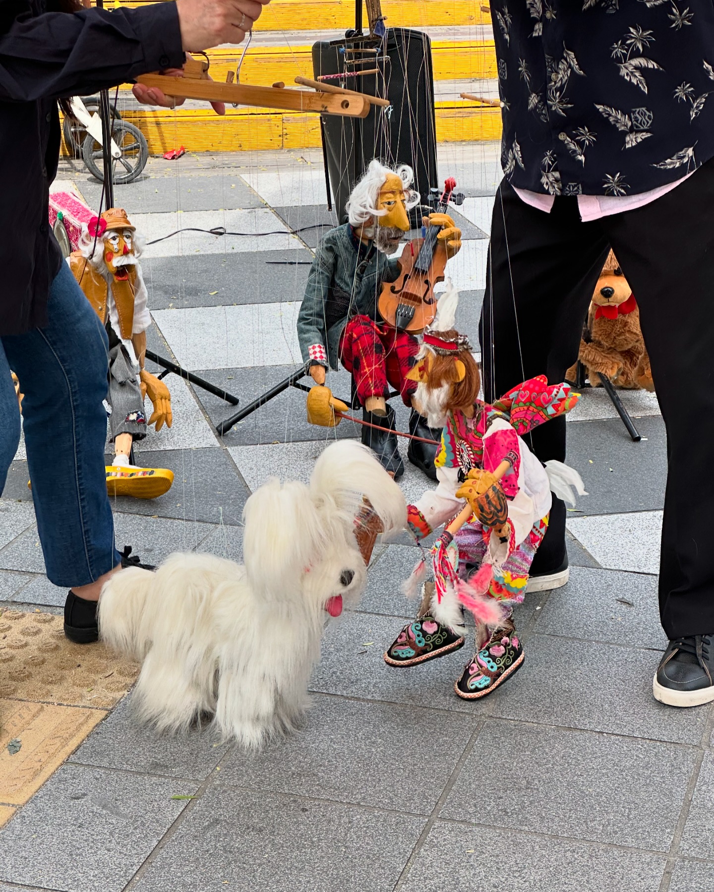 콘텐츠