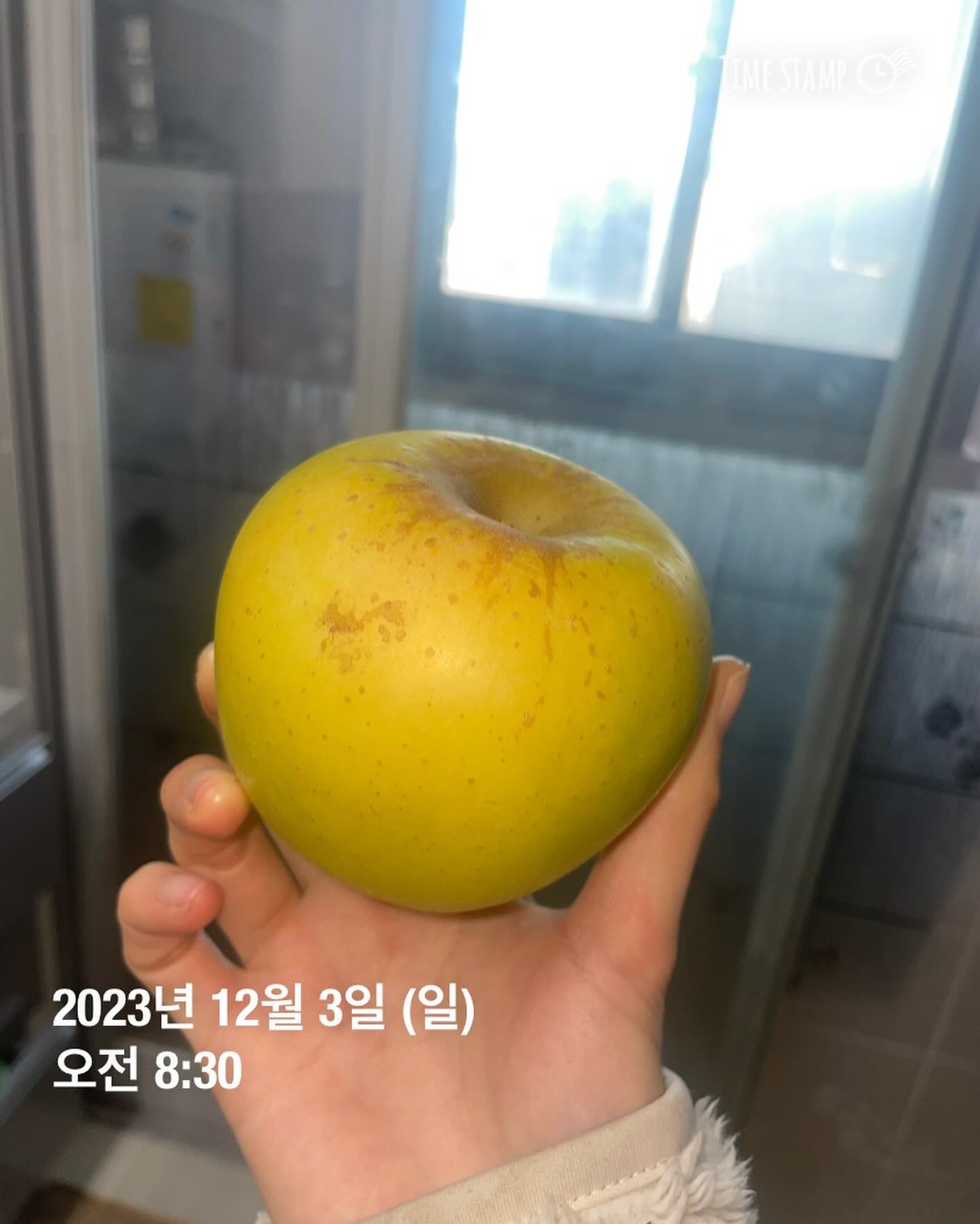 (식단일기 D+266)
- 오늘의 몸무게 : X 
- 오늘의 운동 : X
- 아침 : 사과 1개 
- 점심 : 비엔나 가래떡 떡볶이 + 닭가슴살 튀김 + 고구마 튀김 1접시 + 펩시제로 콜라 1캔
- 간식 : 단백질칩 1봉지 + 빅파이2개 + 크라운산도 1개
- 저녁 : 떡볶이 볶음밥 1그릇