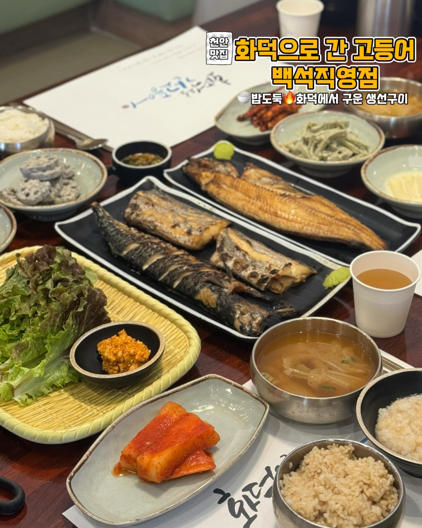 #천안맛집 #화덕으로간고등어백석점 

좋은 아침이에요👋
오늘은 밥도둑 천안생선구이 맛집을 소개할께요🌿

생방송 투데이에도 출연한 화덕 생선구이 맛집으로 백석동에
위치한 #화덕으로간고등어 입니다!
집에서 생선구이 해먹기 참 난감하고 불편함 투성인데..
화덕에서 구워주는 생선이라니👍

500°C 화덕에 촉촉하고 빠르게 구워내는 생선구이 맛집으로 
겉은 바삭,속은 촉촉한데다 딱 알맞은 간이라 밥 두 공기는 뚝딱🍚
게다가 셀프바에는 반찬이 다양하고 무한으로 먹을 수 있는 곳!
된장고추,연근샐러드,더덕무침,궁채나물,크림떡볶이까지
각종 신선한 야채도 있어서 무한으로 즐길 수도 있어 더 좋아요~

고등어랑 임연수,갈치 정식에 현미밥,곤드레밥으로 변경해서 
먹었더니 제대로 건강식💪
화덕에서 구운 생선이라 껍질까지도 맛있네요🤭

➖with
kys81m 
khj364129512 

🐟화덕으로간고등어백석점 
📍주소: 충남 천안시 서북구 한들2로 46-5 (백석동)

#전국맛집 #전국맛집_천안
#천안맛집 #백석동맛집 #천안백석동맛집 #천안생선구이
#화덕으로간고등어 #화덕으로간고등어백석점 
#화간고 #고등어 #갈치 #임연수 #뭐하지백석동