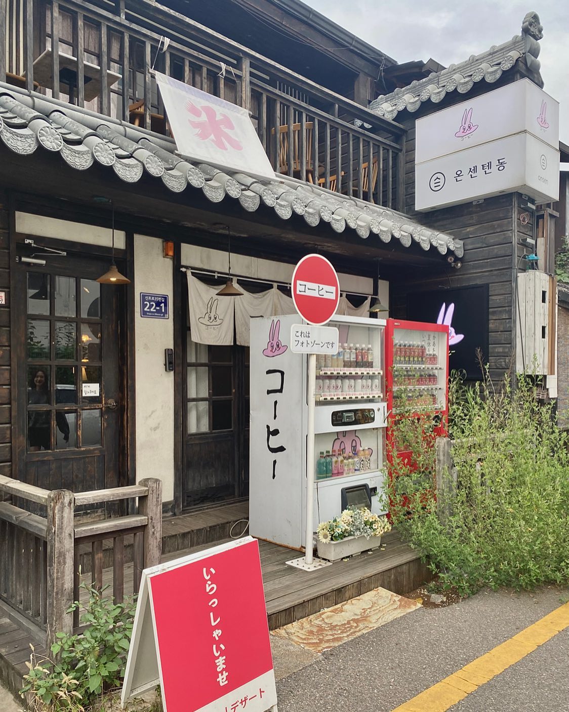#코히별장