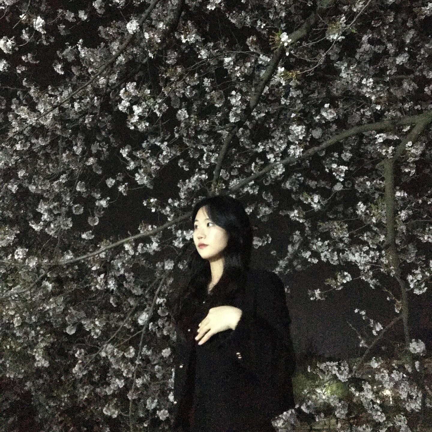 🌙