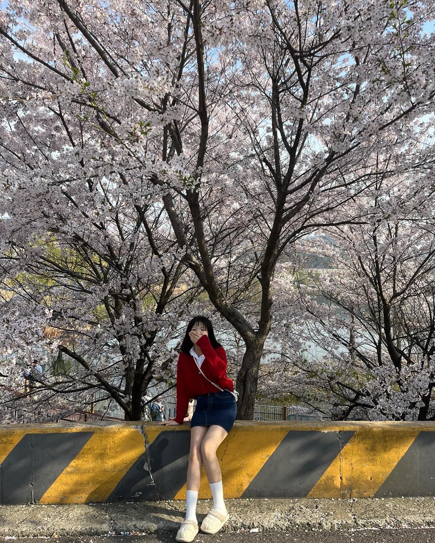 벚꽃 구경 끝💗💗