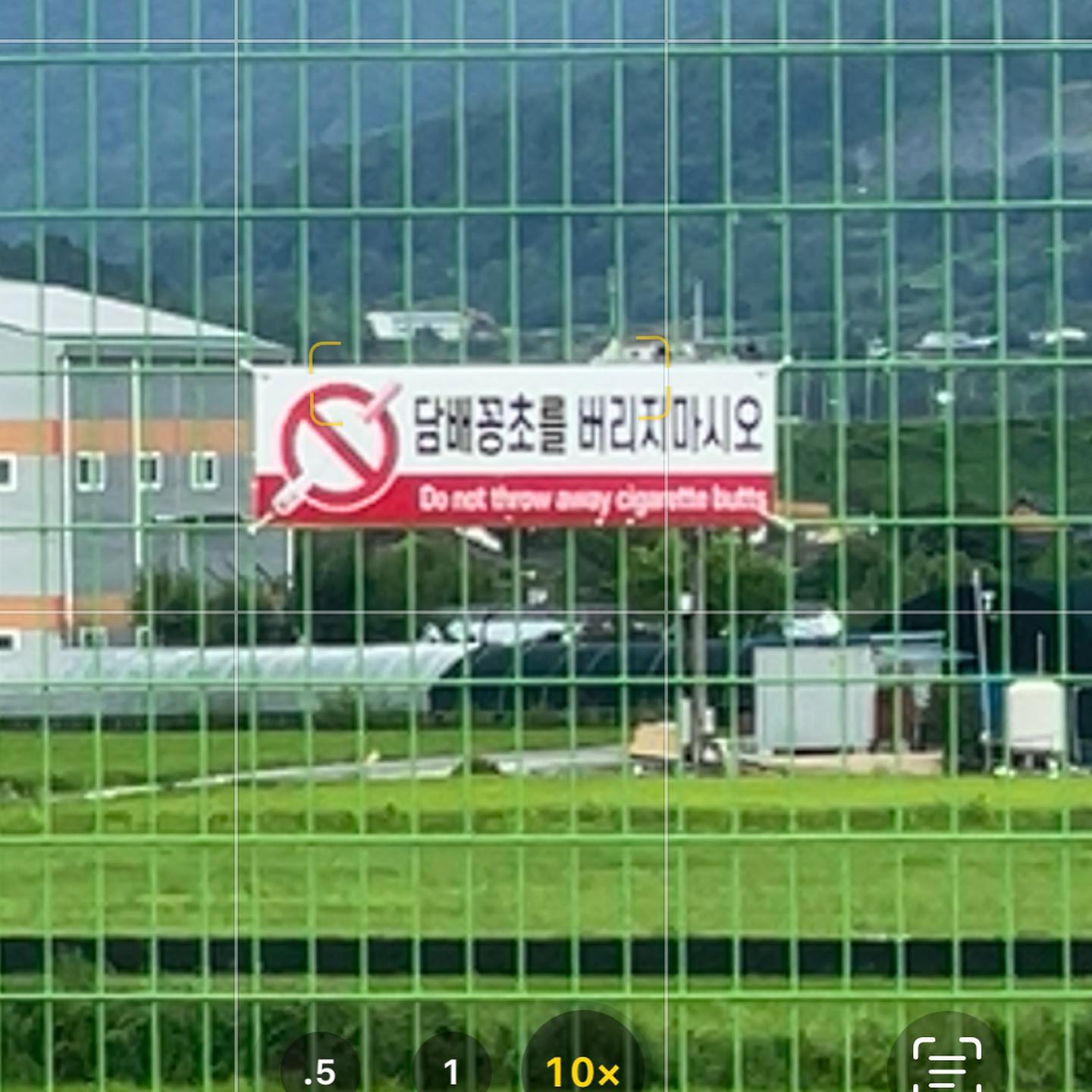 서울부산대구서울🐸