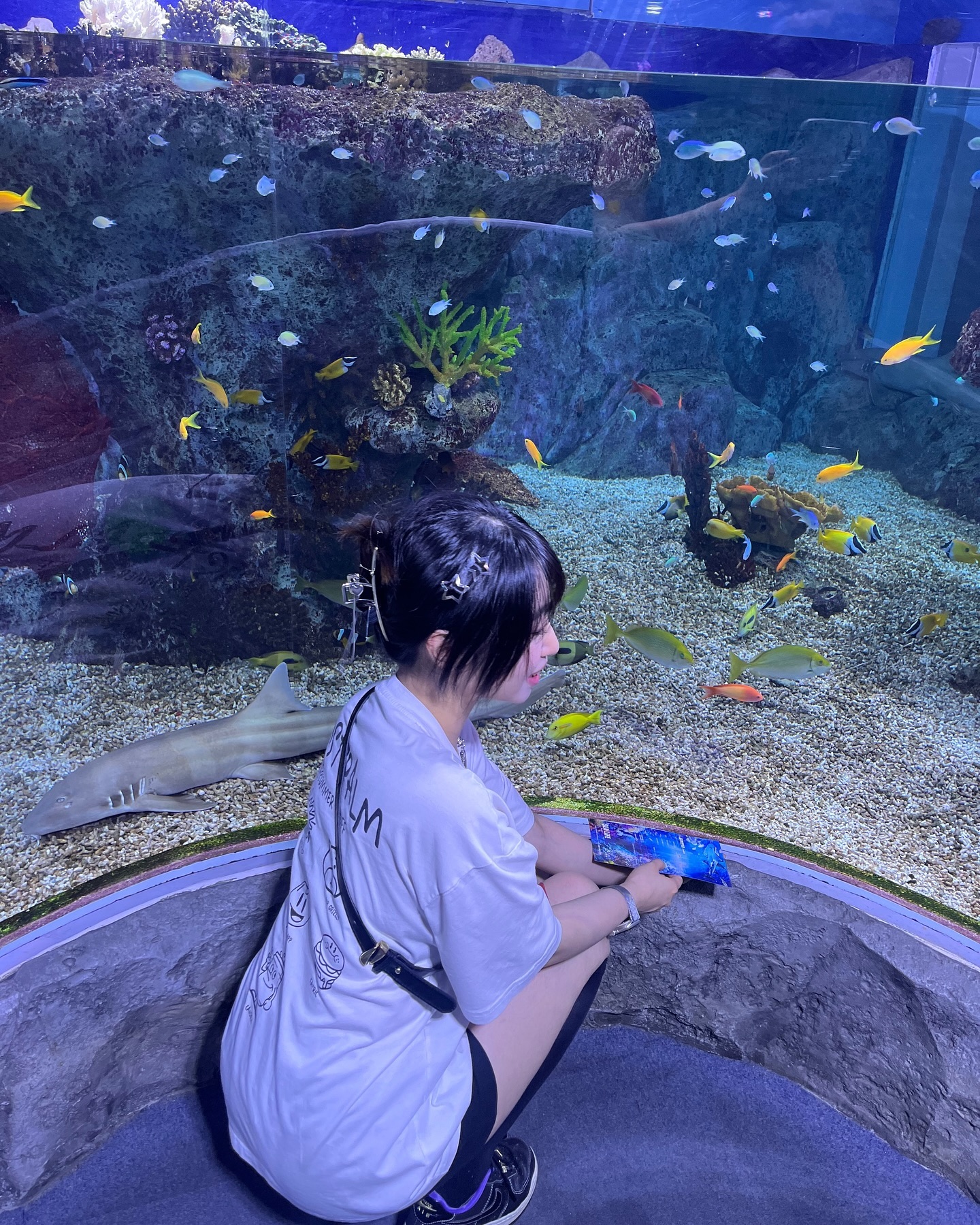 아쿠아리움 더 올리고 싶었어🫧🐠