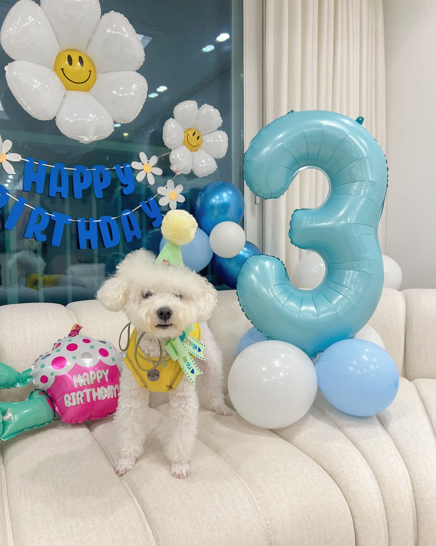 오늘은 사랑하는 우리 소금이의 생일 🎂

소금이의 매년 생일은 우리 가족 모두에게 아주 특별하다 (연중행사✨)
죽을 고비를 몇번이나 넘기구 기적같이 살아난 소금이라 더더 진심을 다해 축하해주고 있다ㅎㅎ

평생 약을 먹고 살아야 하는데 매일 꿀꺽꿀꺽 당연한듯 먹어주는 소금이를 보면 너무 짠하고 대견하다.

누나랑 형아랑 하니랑 오래오래 행복하자 소그미, 사랑해 내새꾸!💛