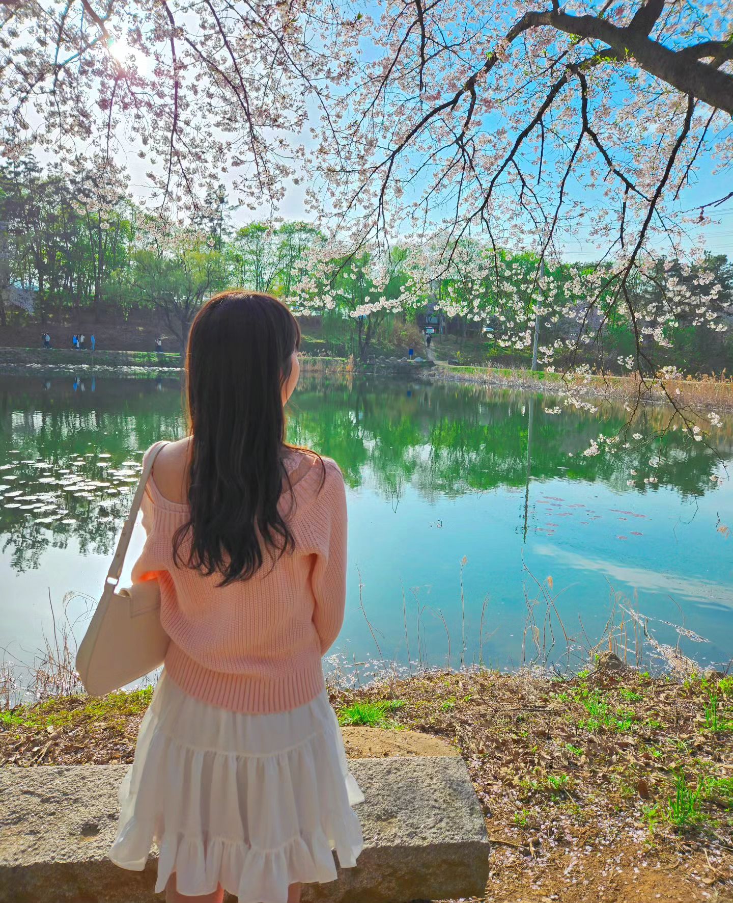 벚꽃 막차 탑승🌸
.
.
.
.
.
.
.
.
.
#벚꽃 #벚꽃놀이 #벚꽃길 #봄 #spring #daily #dailylook #꽃놀이 #꽃구경 #데일리룩 #fashion #좋아요반사 #좋반 #선팔환영 #인친 #소통 #영남대