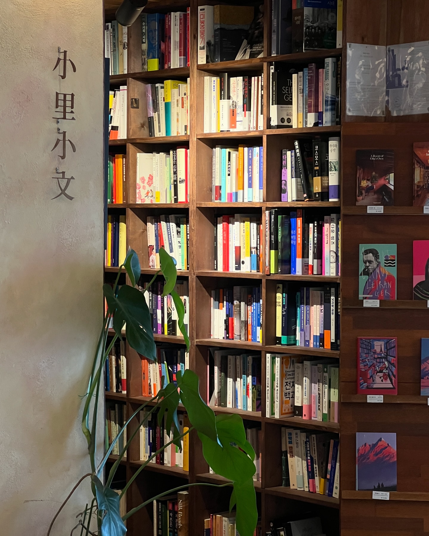 오랜만에 📚

#𝐑𝐄𝐂𝐎𝐑𝐃_𝐀𝐍
✔︎ #책방소리소문 sorisomoonbooks 
✔︎ 제주 제주시 한경면 저지동길 8-31
✔︎ 화,수 12:00-18:00 / 목-월 11:00-18:00