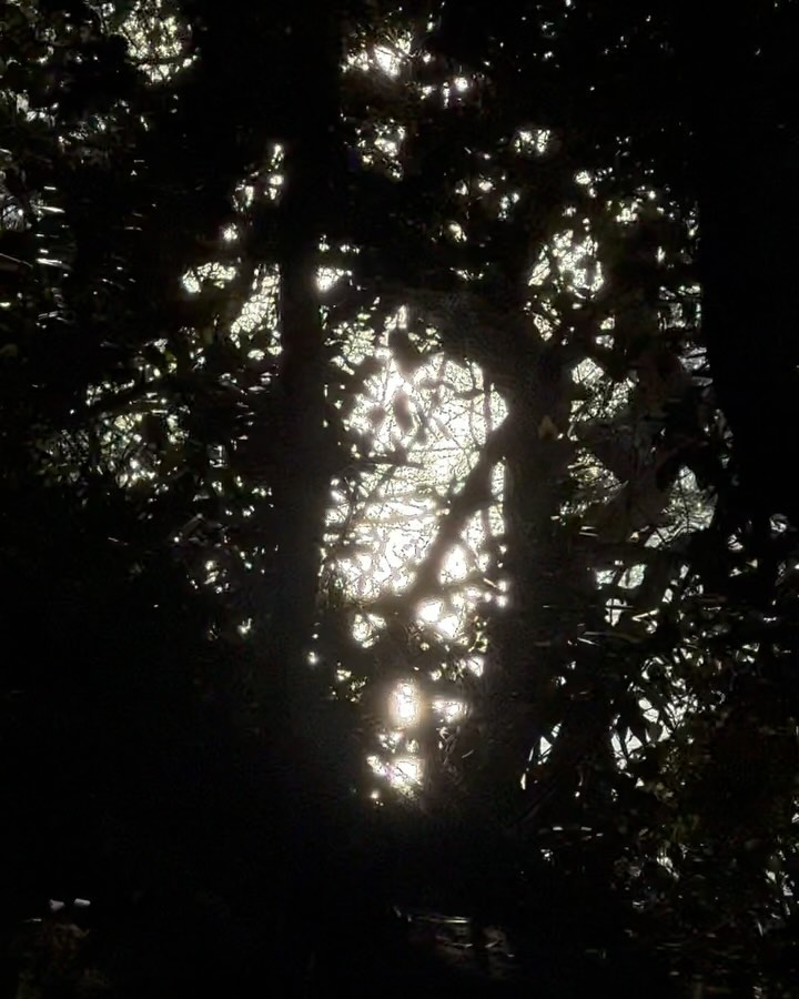 Sun glitter, 채윤슬