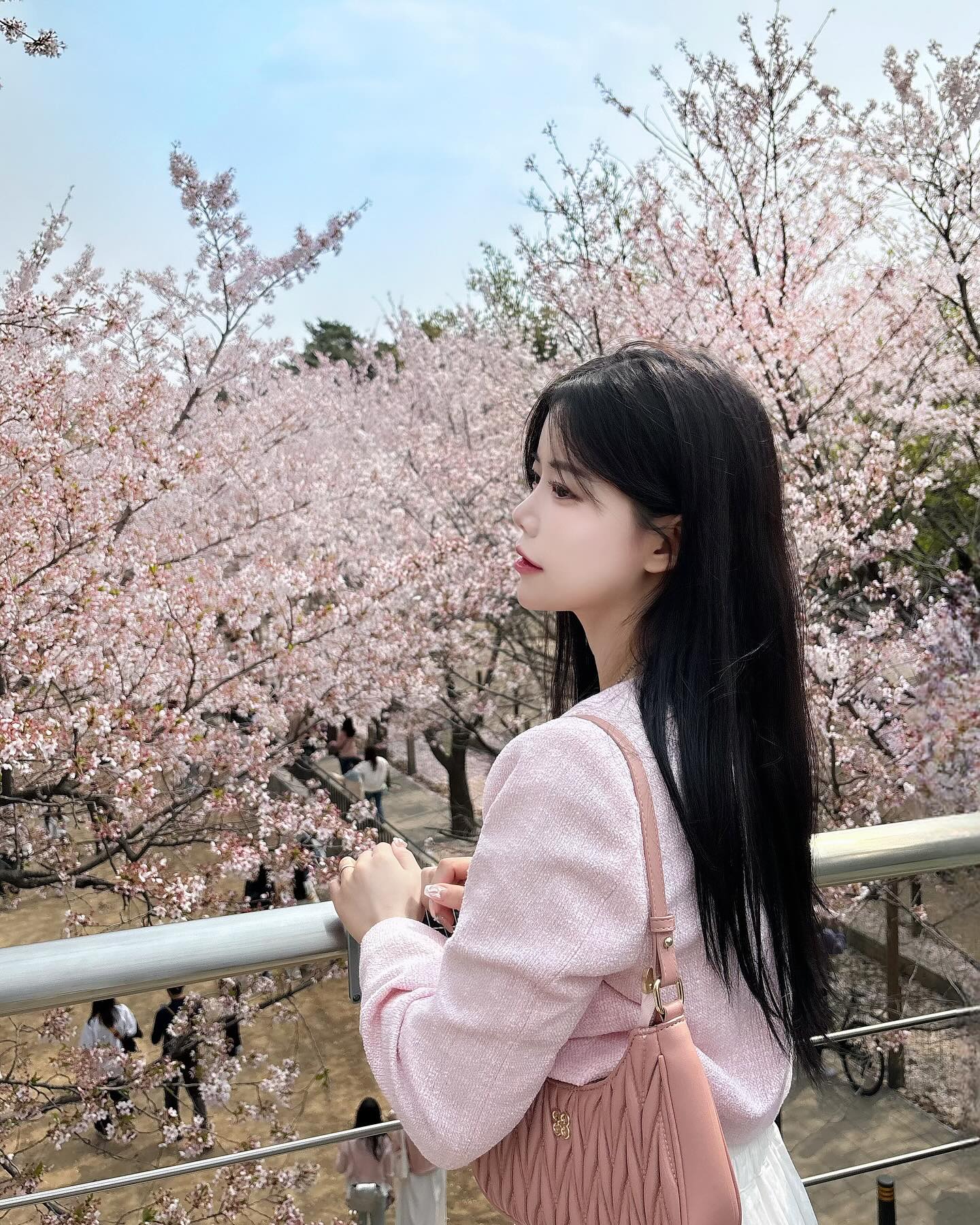 Blossom🌸🌷💐✨