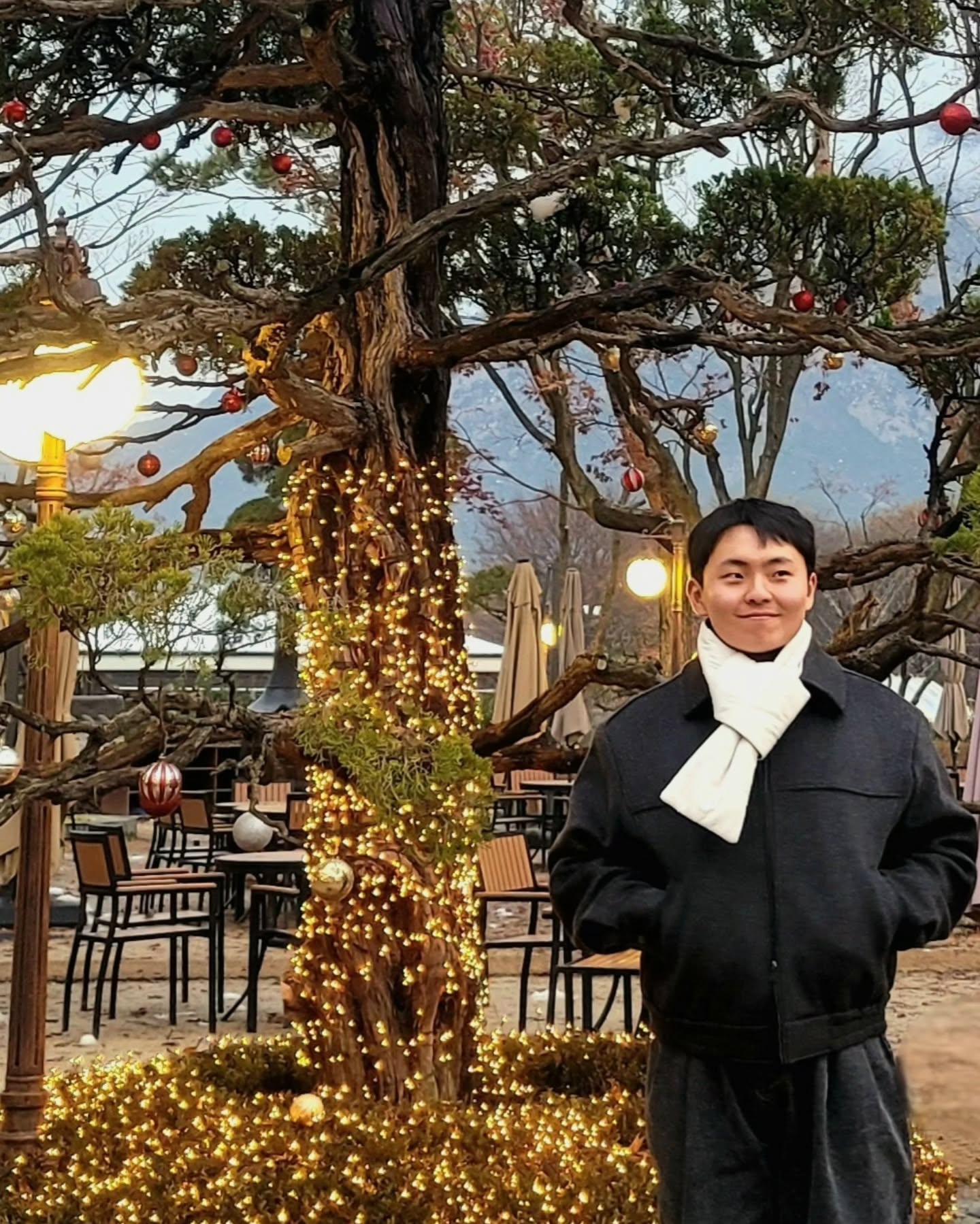 콘텐츠