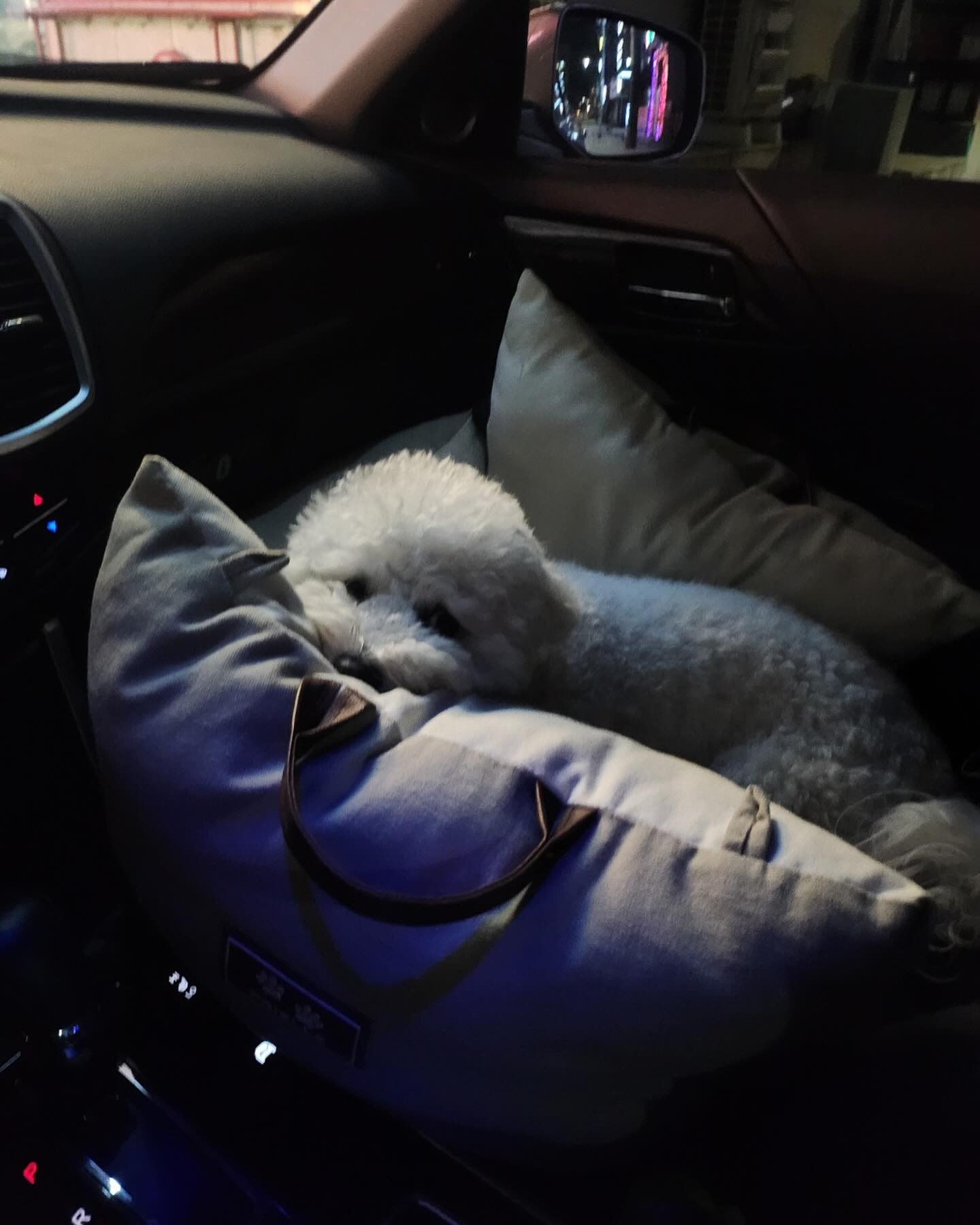 🚘